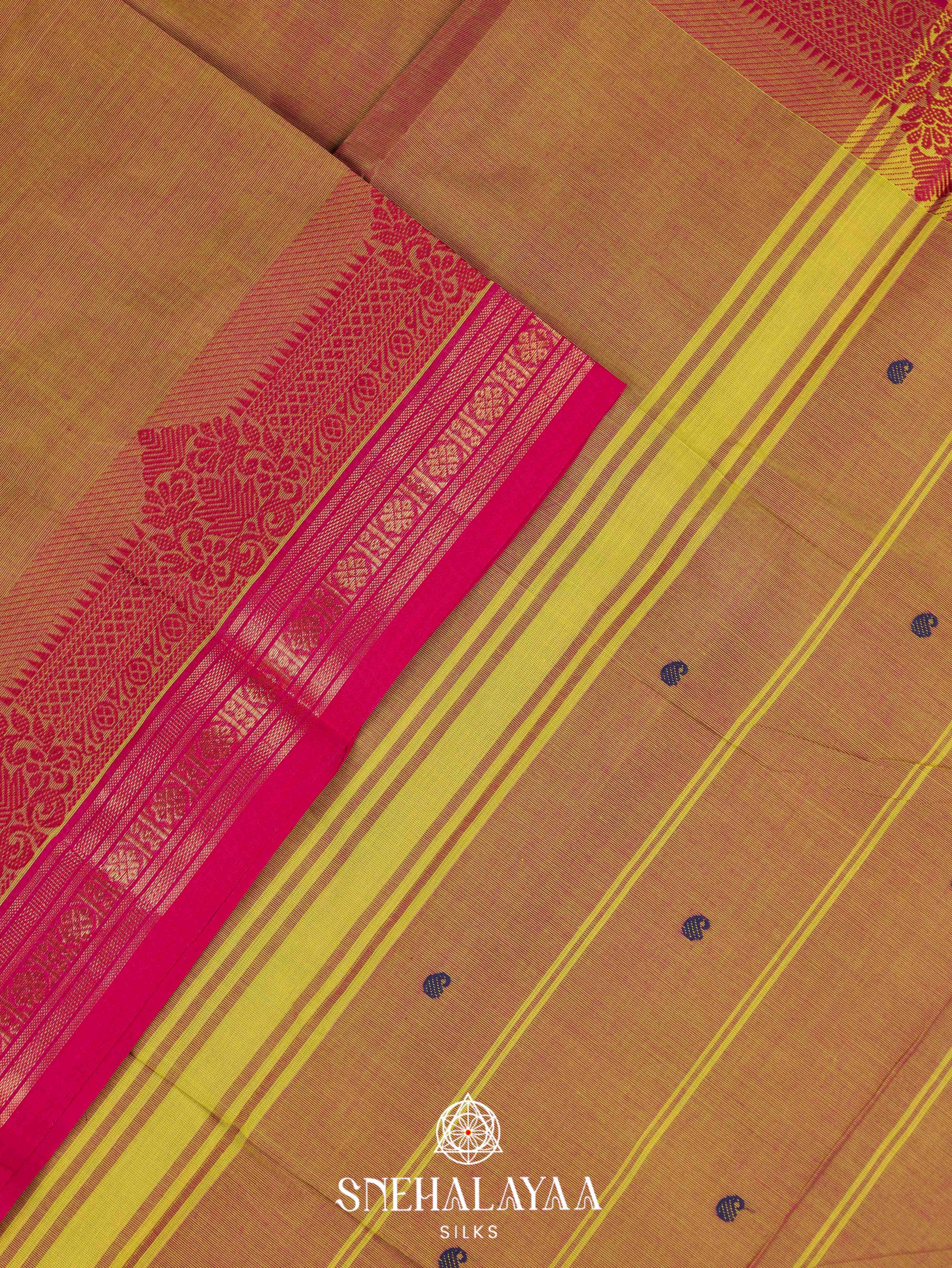 Light Brown Kanchi Cotton Saree