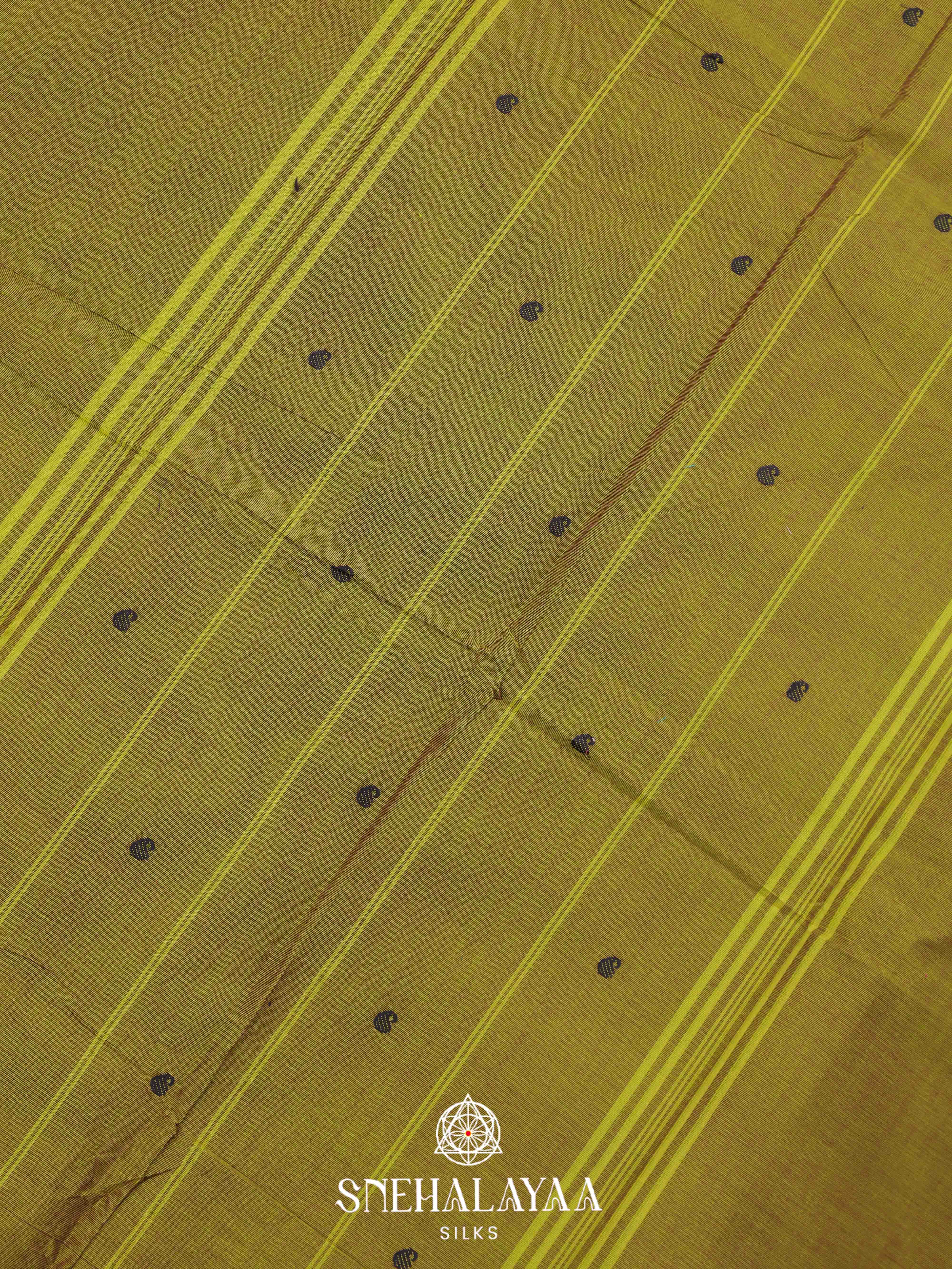 Olive Green Kanchi Cotton Saree