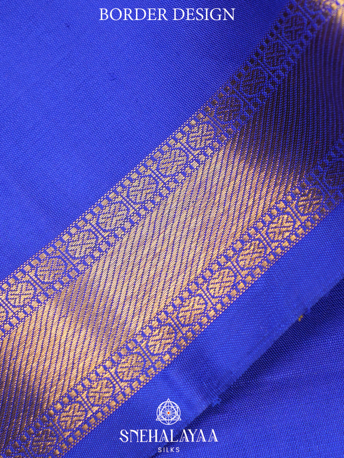 Multicolour Kanjivaram Silk Saree