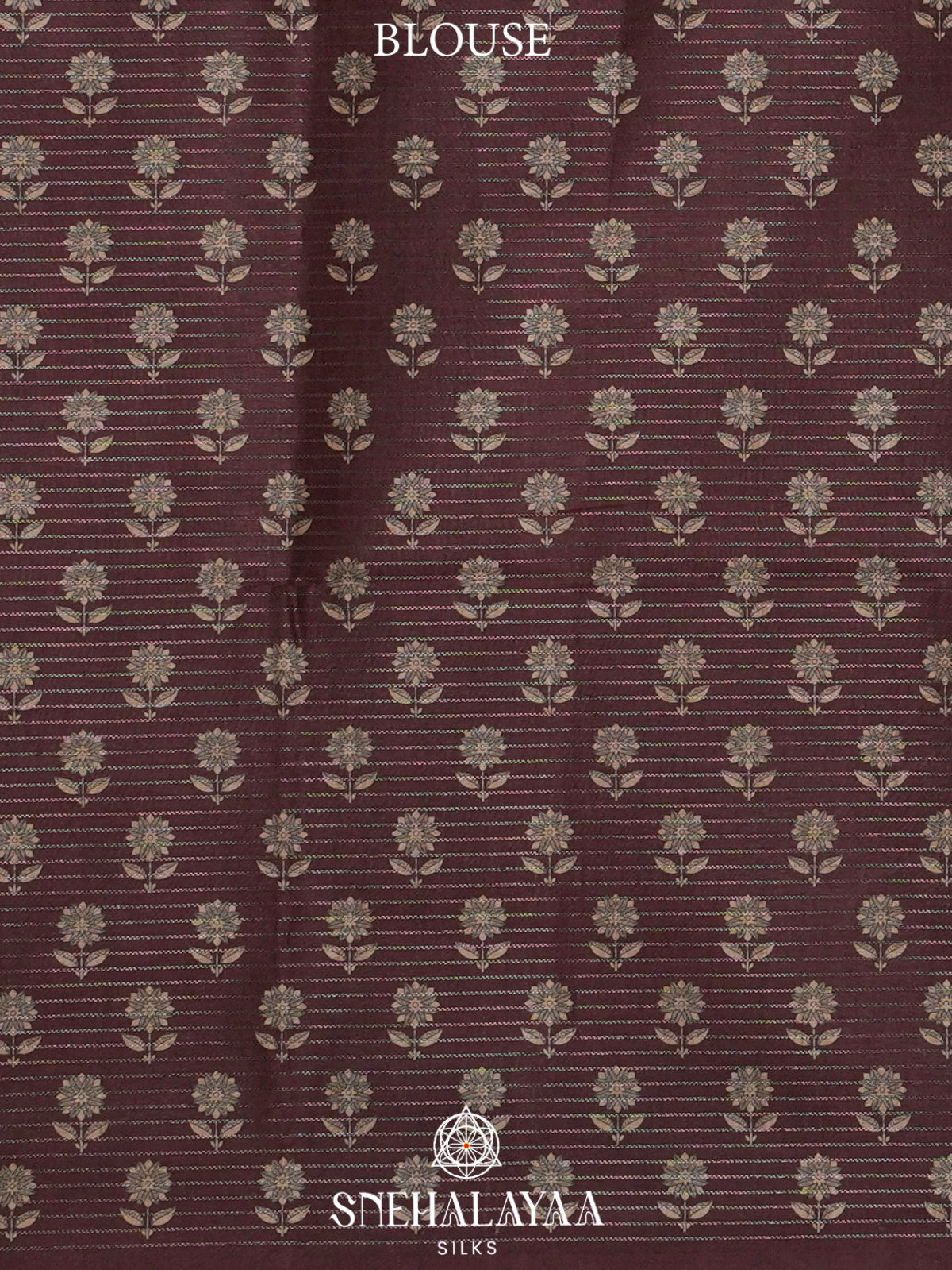 Beige With Brown Border Tussar Saree