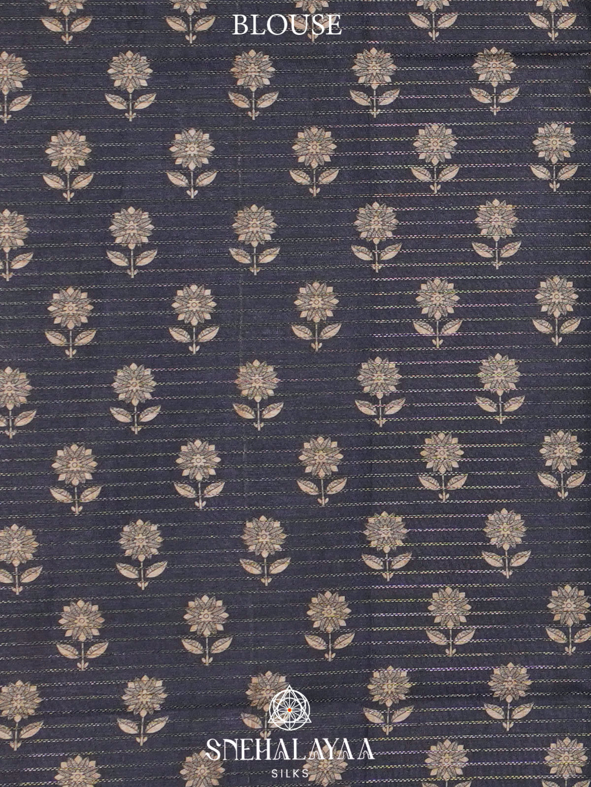 Beige With Navy Blue Border Tussar Saree