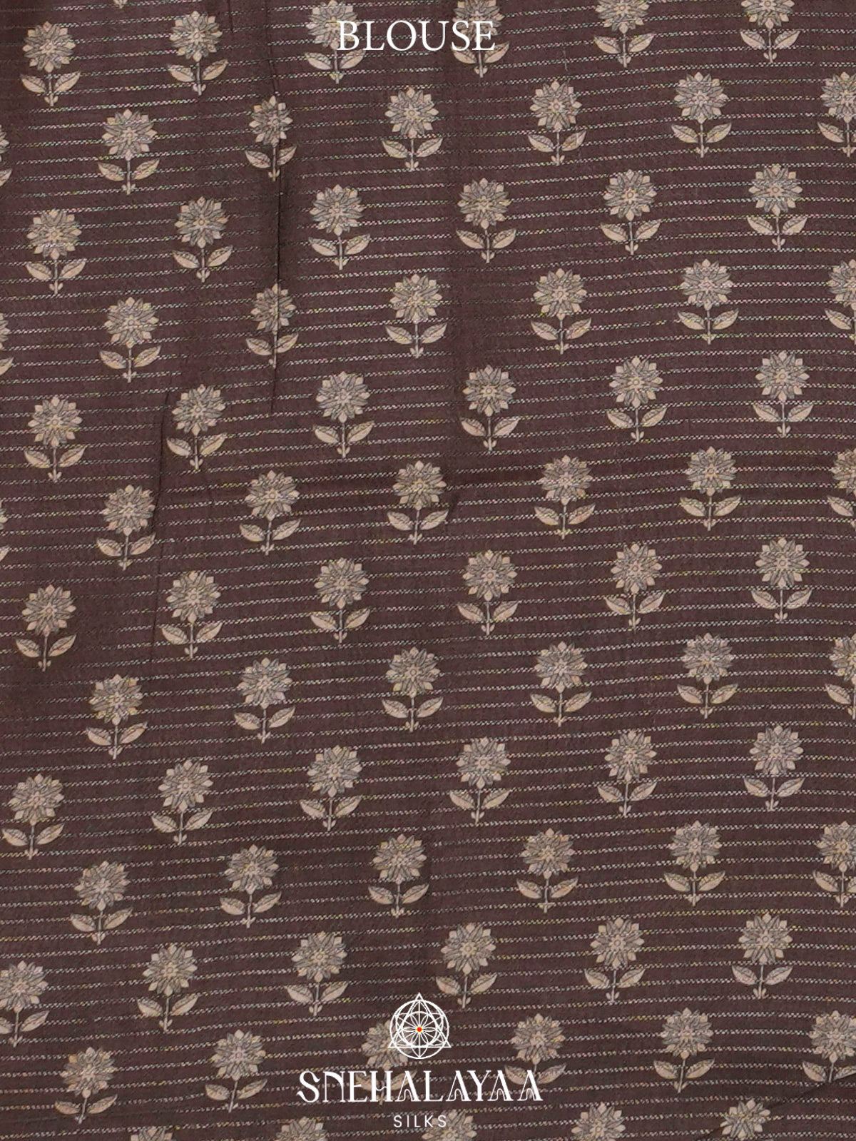 Beige With Coffee Brown Border Tussar Saree