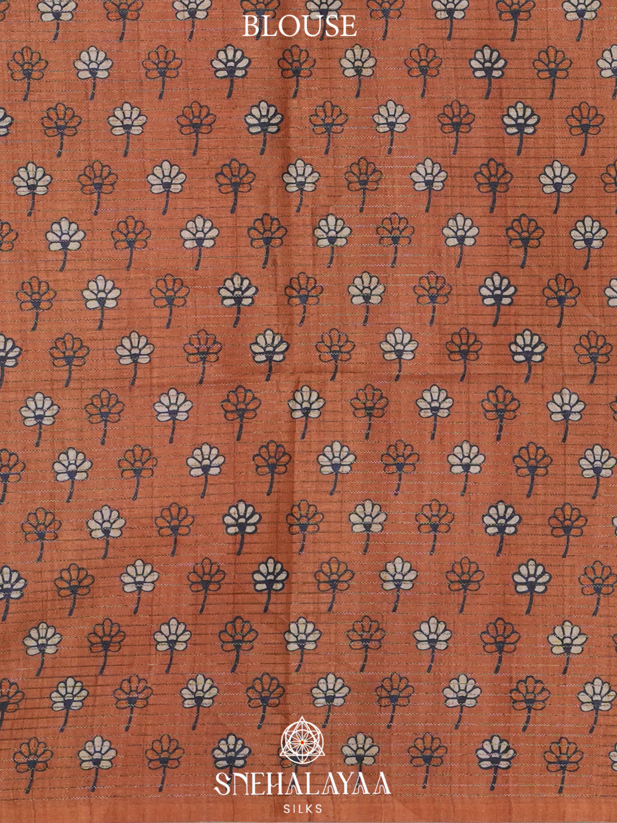 Pale Green Tussar Saree