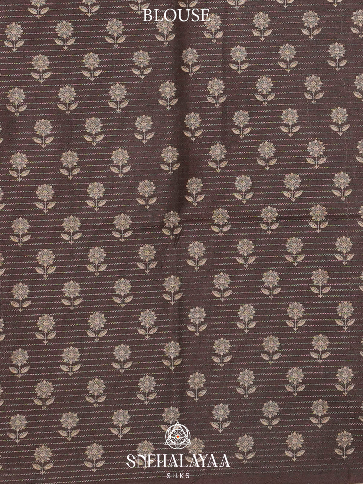 Beige Tussar Saree