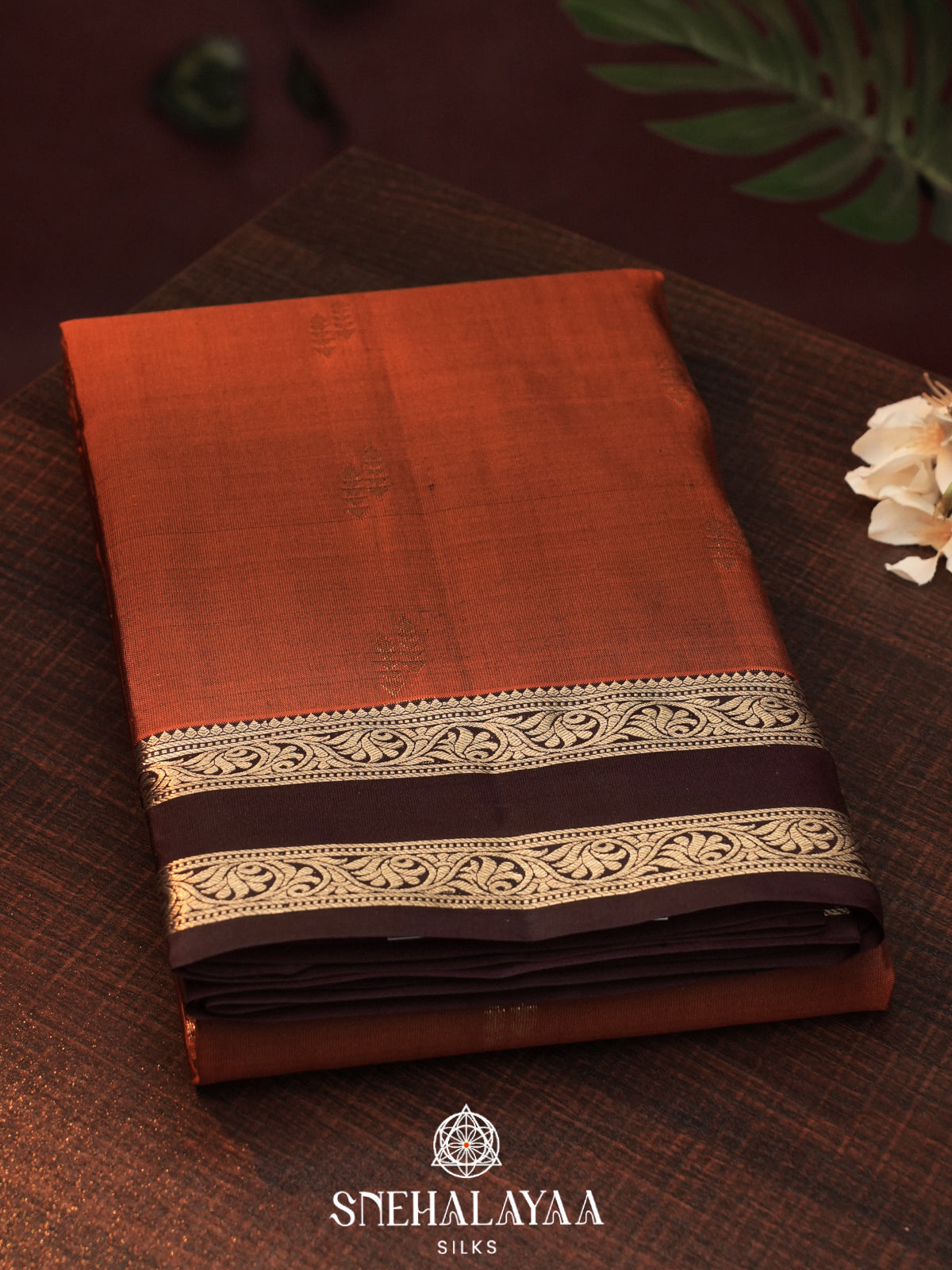 Brown  Kanjivaram Silk Saree