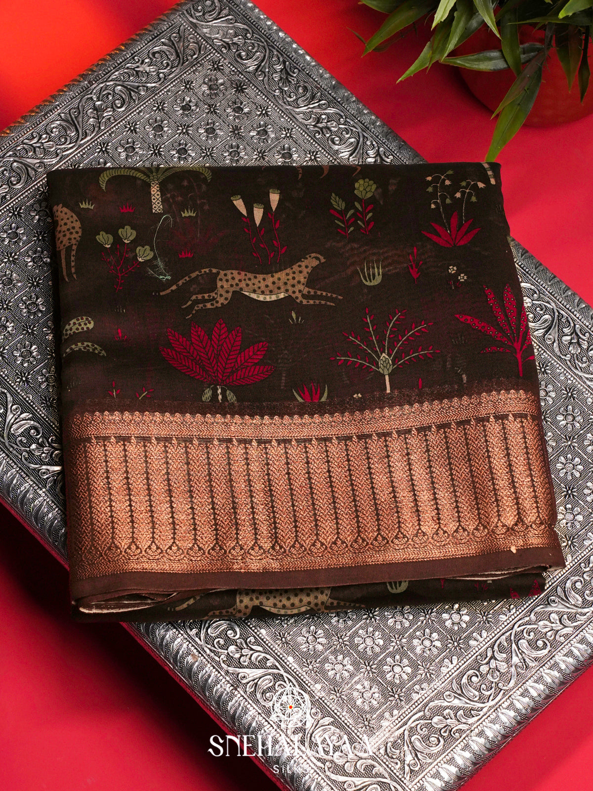 Dark Brown Chanderi Saree with Rich Zari Border