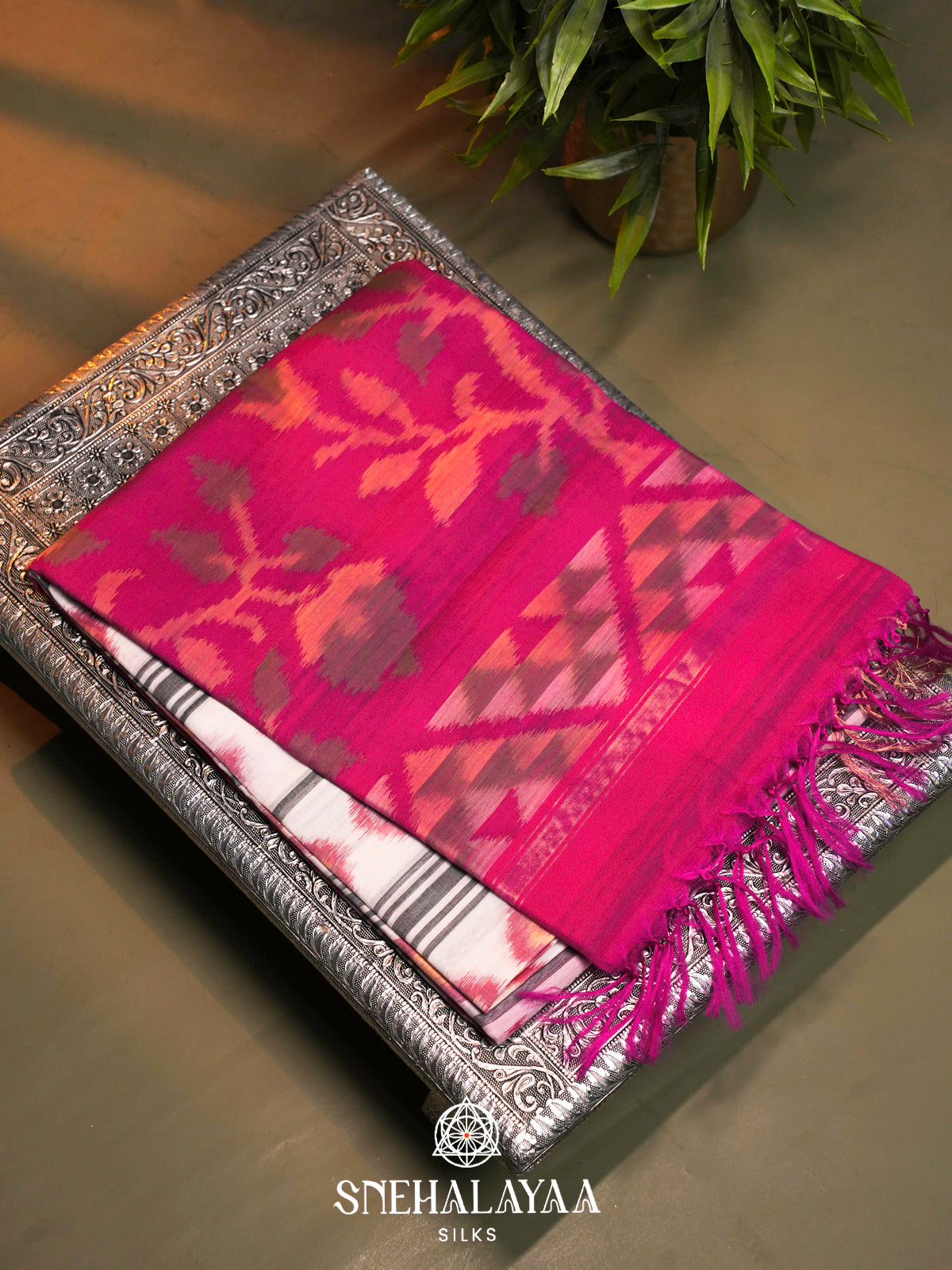 Off White  Ikkat Silk Cotton Saree