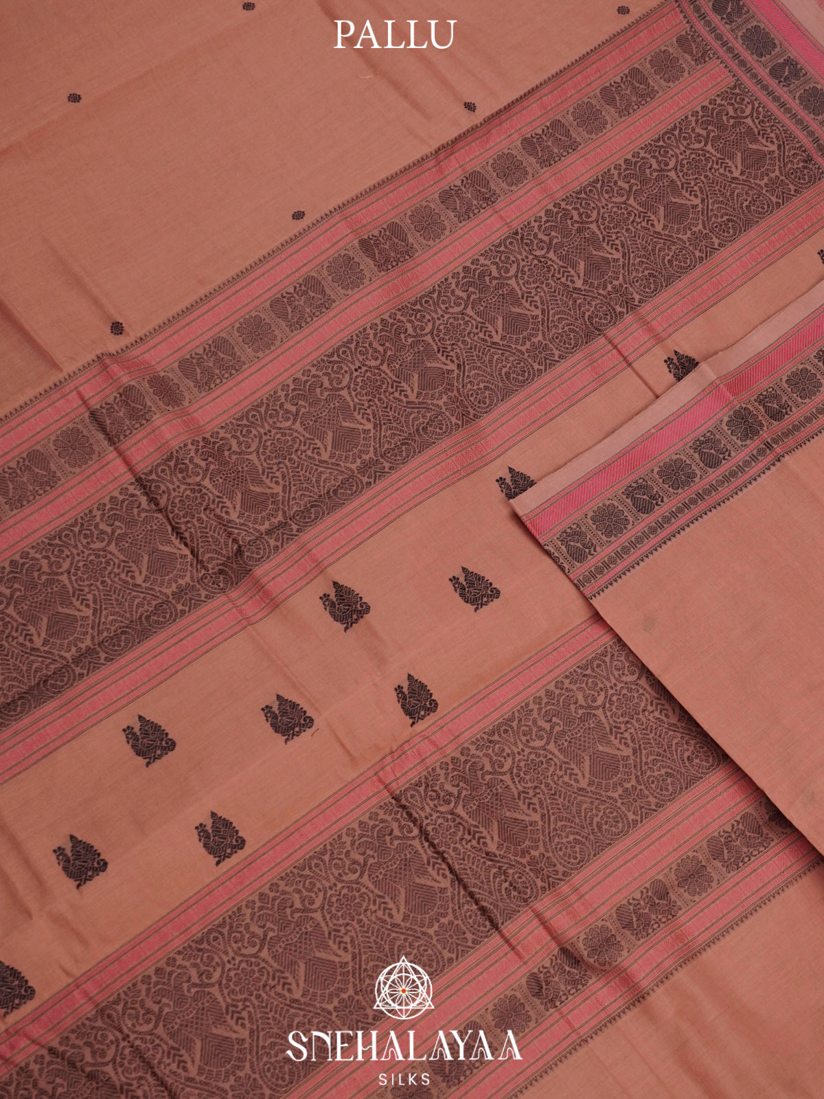 Pale Peach  Kanchi Cotton Saree