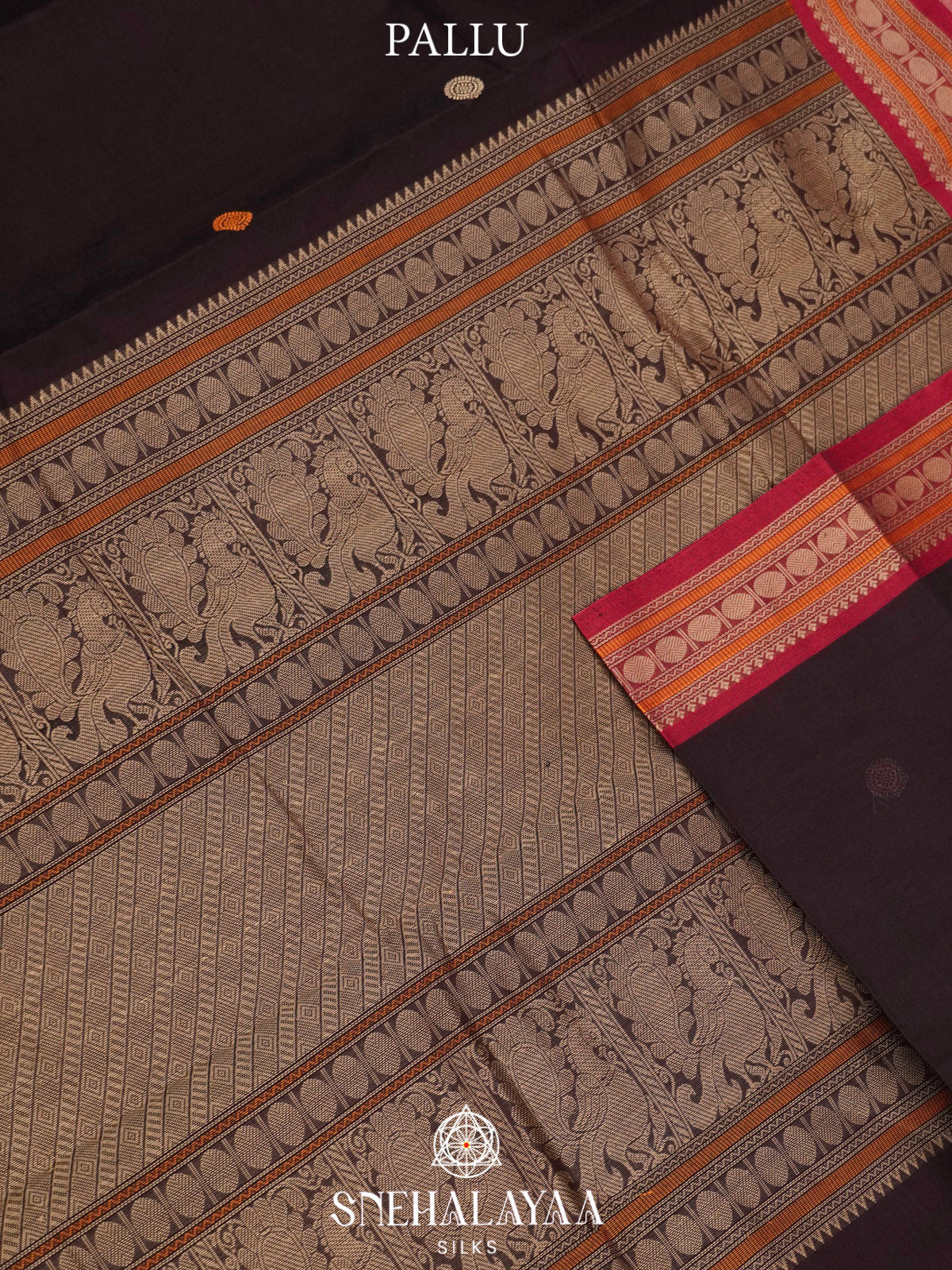 Chocolate Brown  Kanchi Cotton Saree