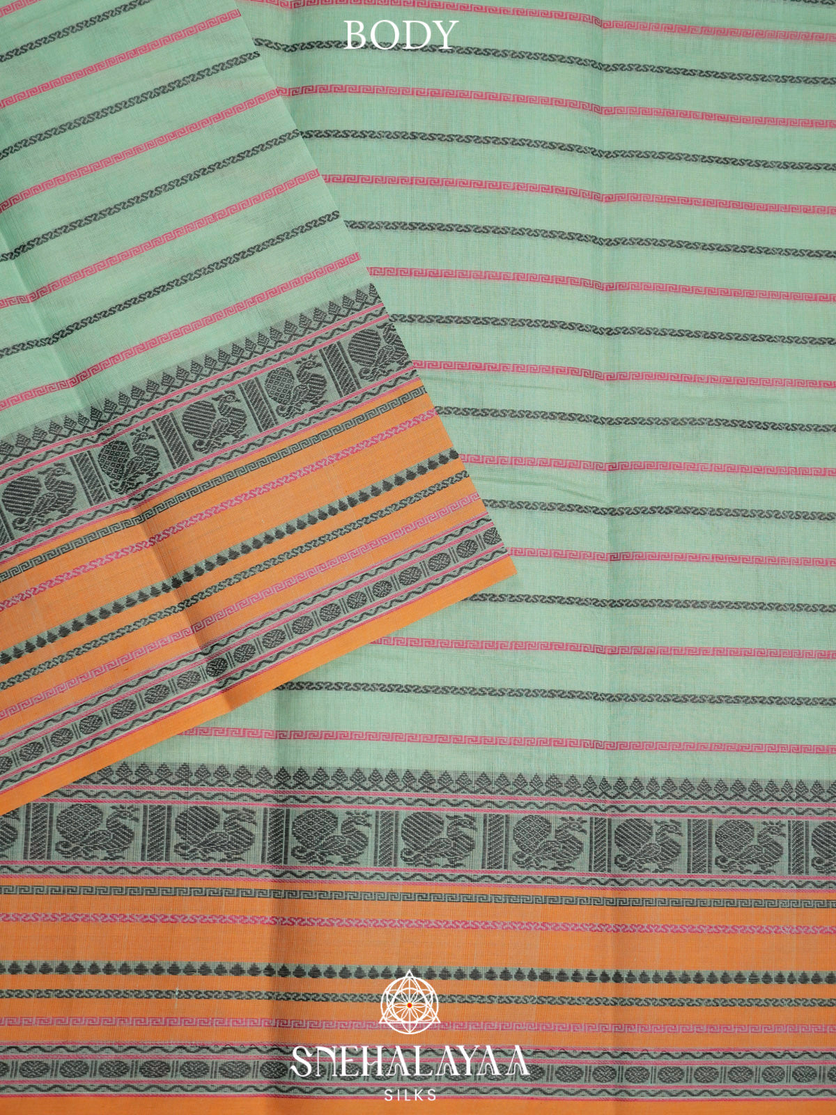 Pastel Green  Kanchi Cotton Saree
