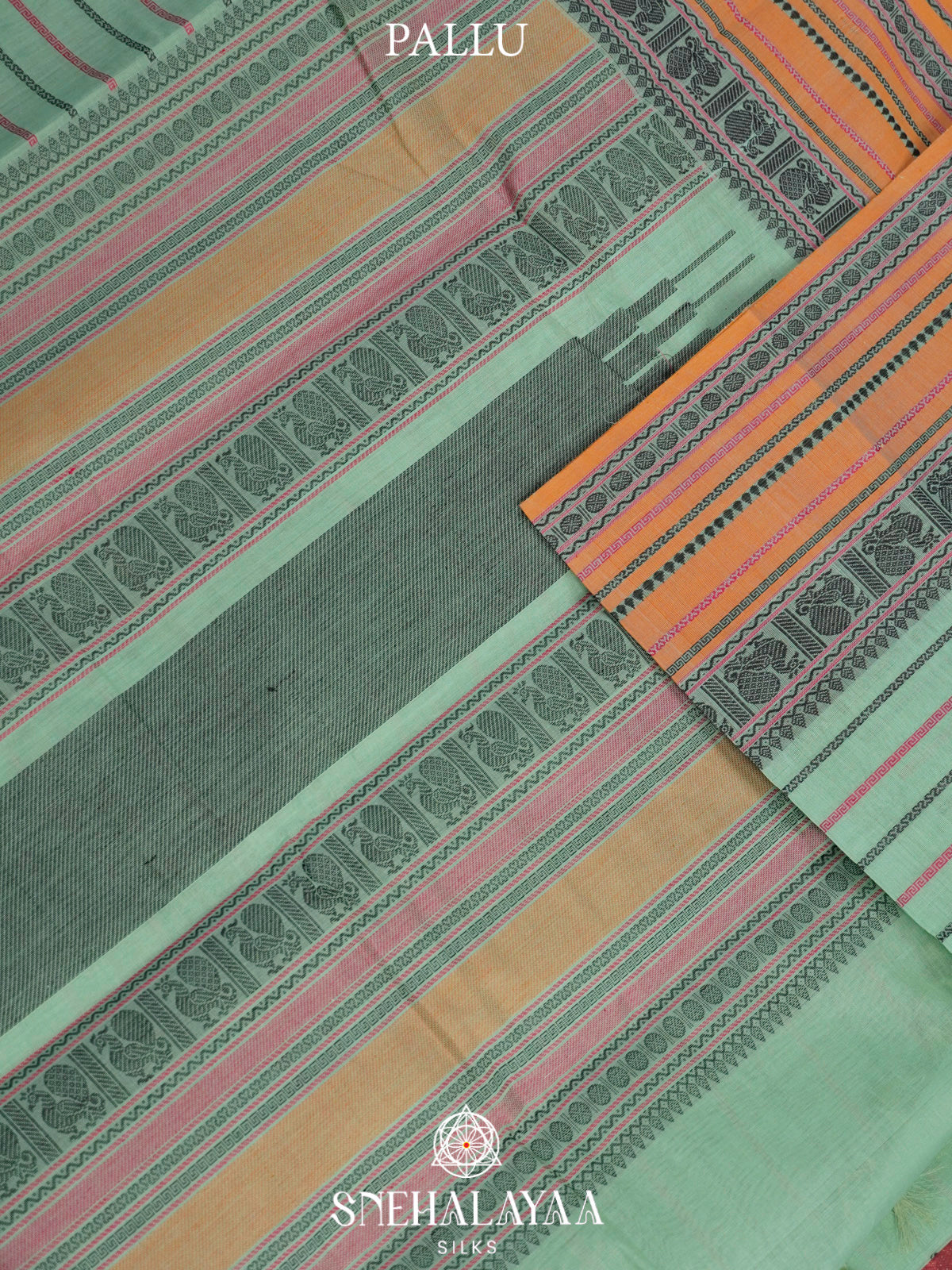 Pastel Green  Kanchi Cotton Saree