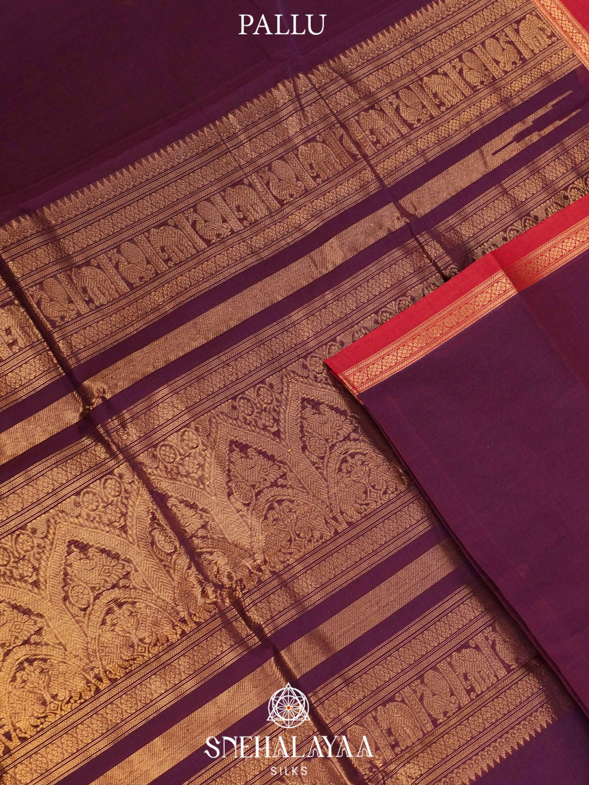 Magenta  Kanchi Cotton Saree