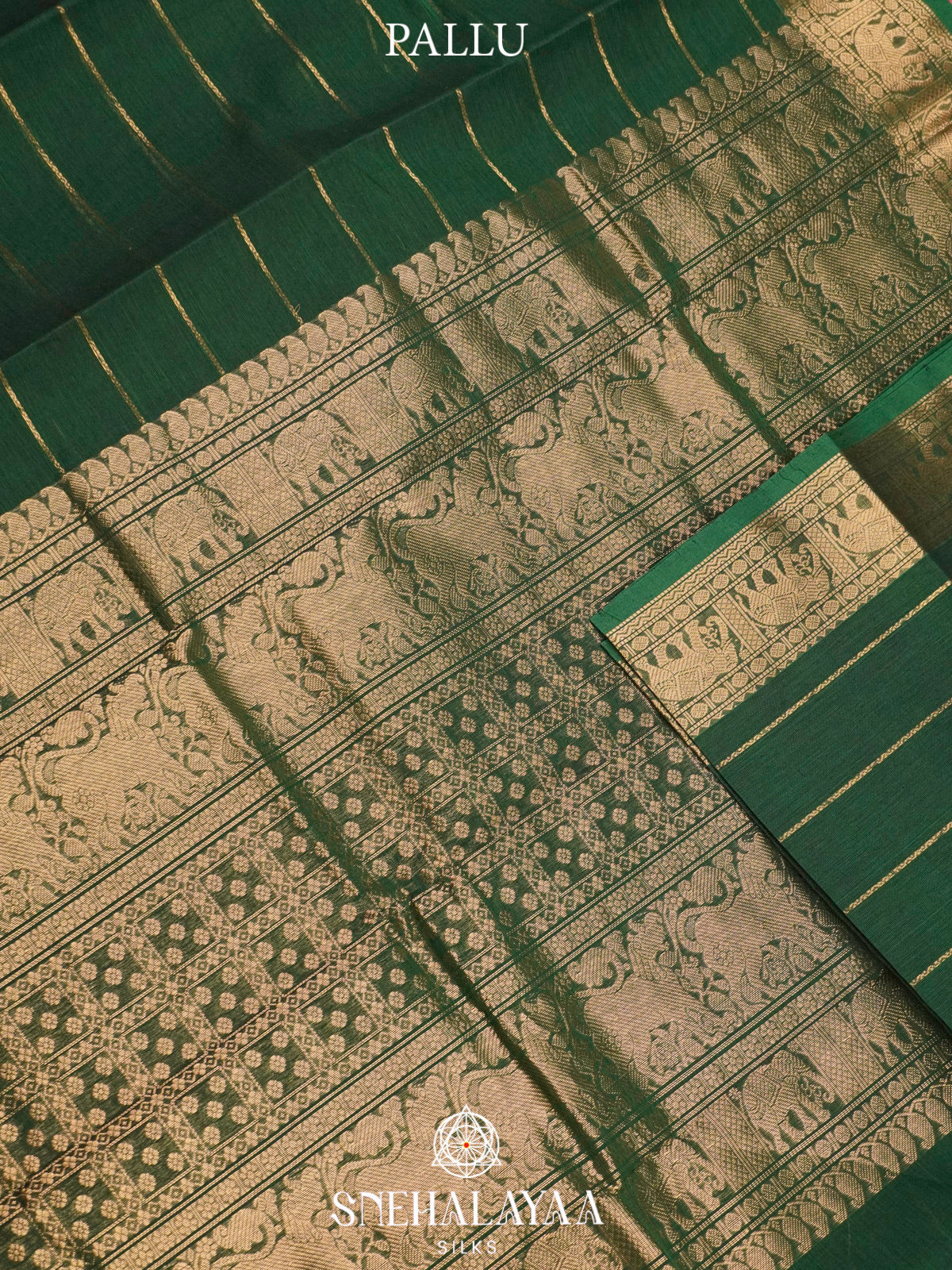 Bottle Green  Kanchi Cotton Saree