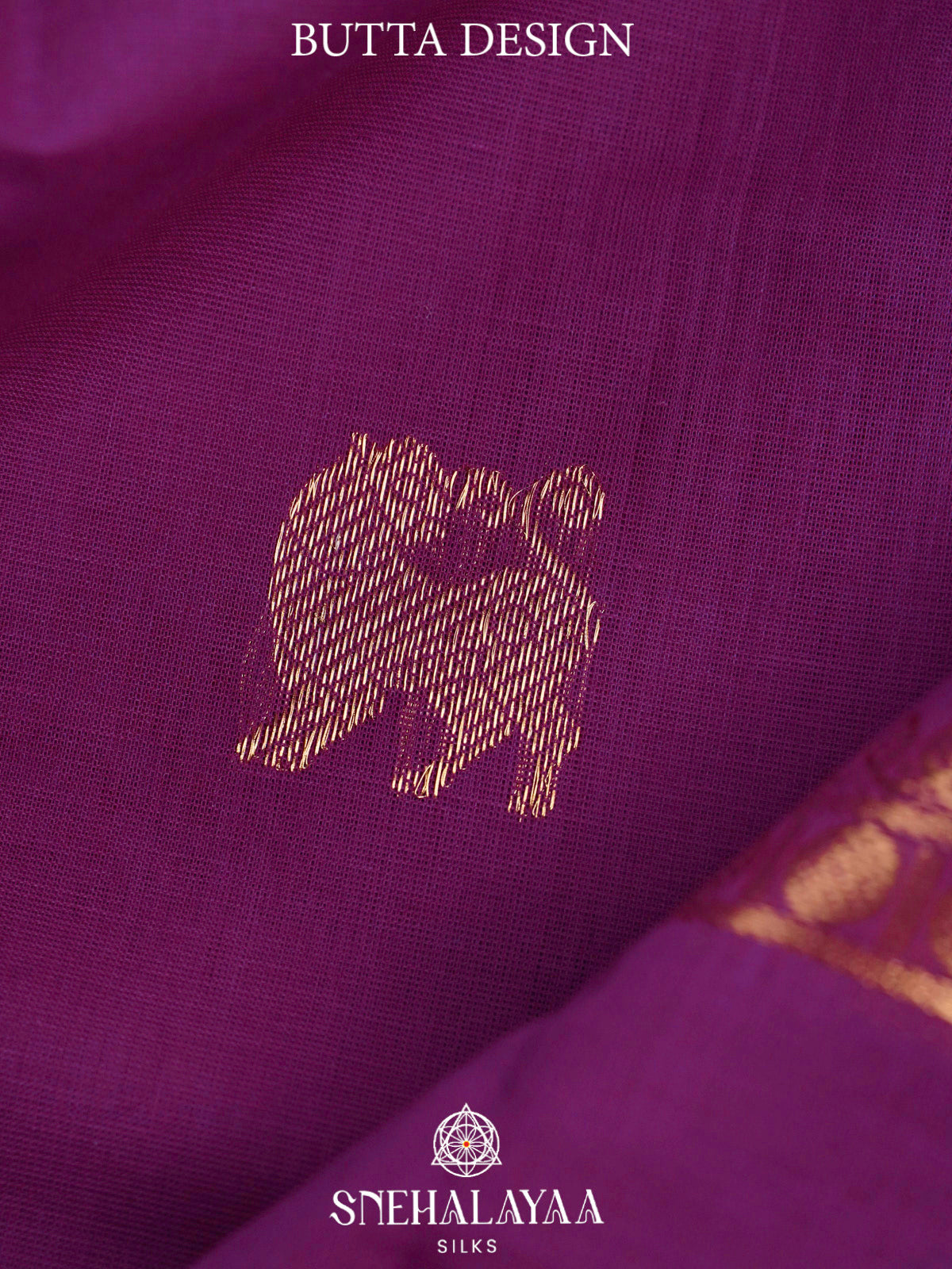 Violet  Kanchi Cotton Saree