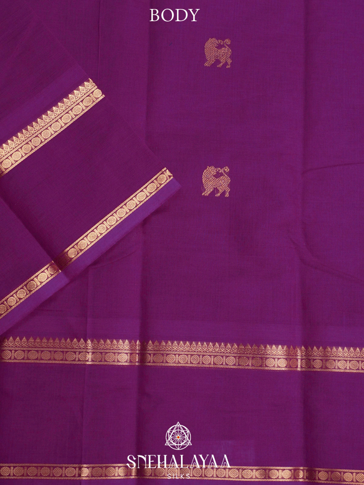 Violet  Kanchi Cotton Saree