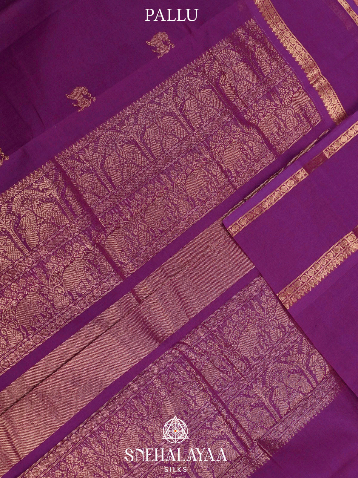 Violet  Kanchi Cotton Saree