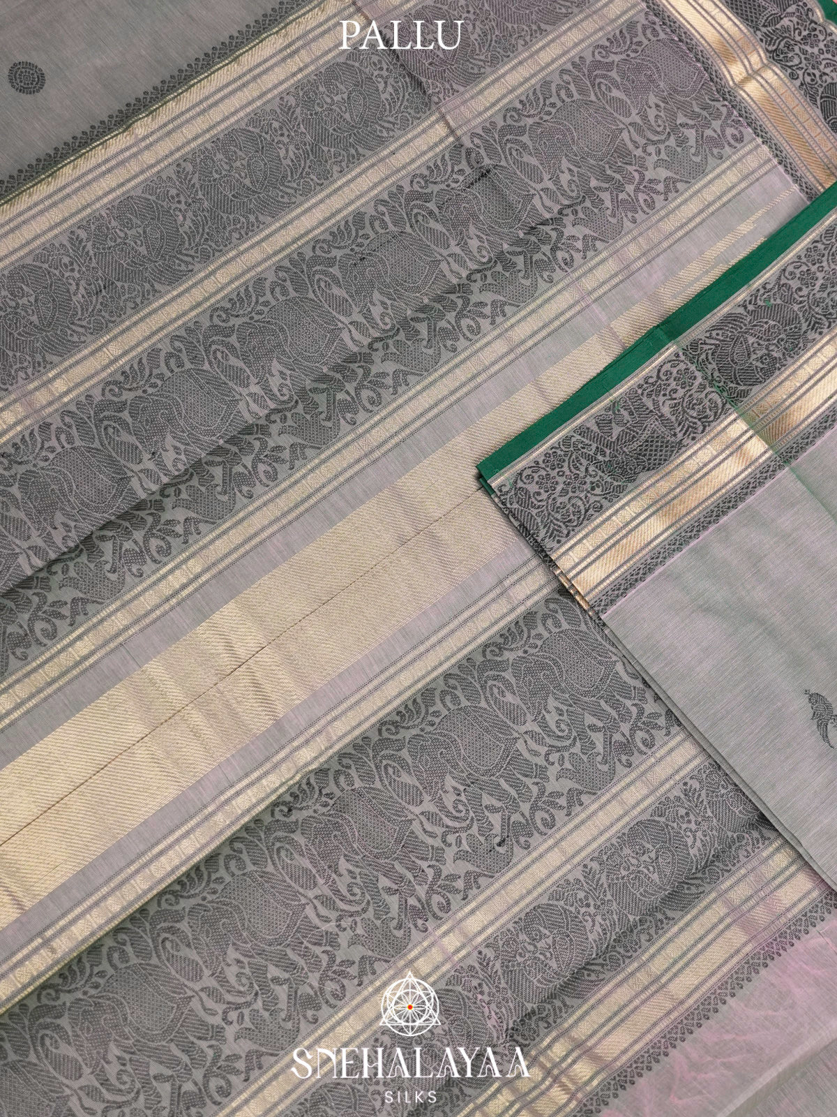 Grey  Kanchi Cotton Saree