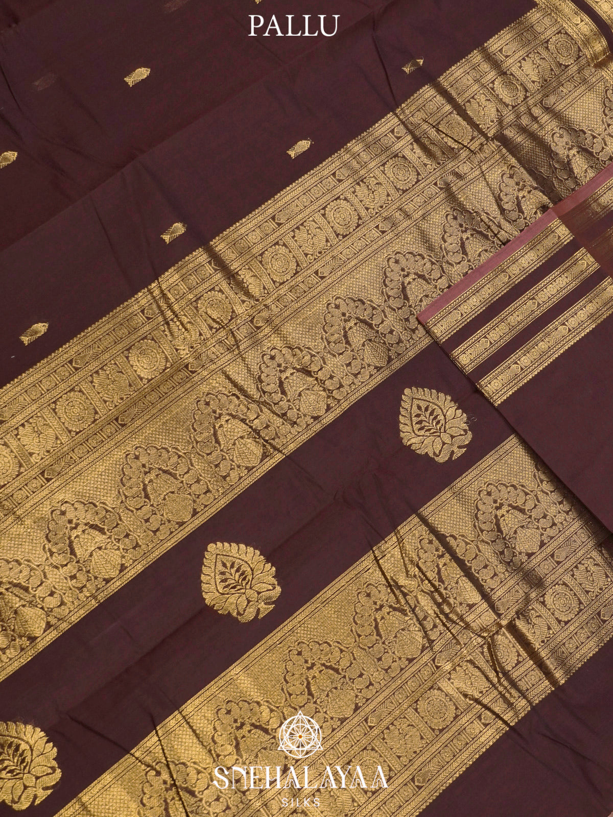 Brown  Kanchi Cotton Saree