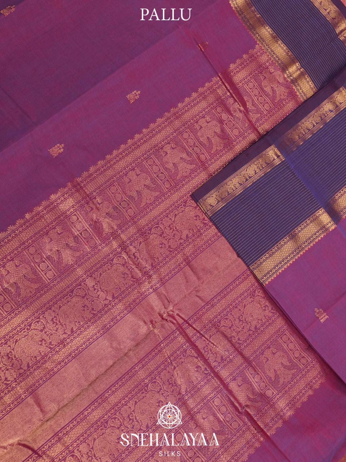 Magenta Pink  Kanchi Cotton Saree