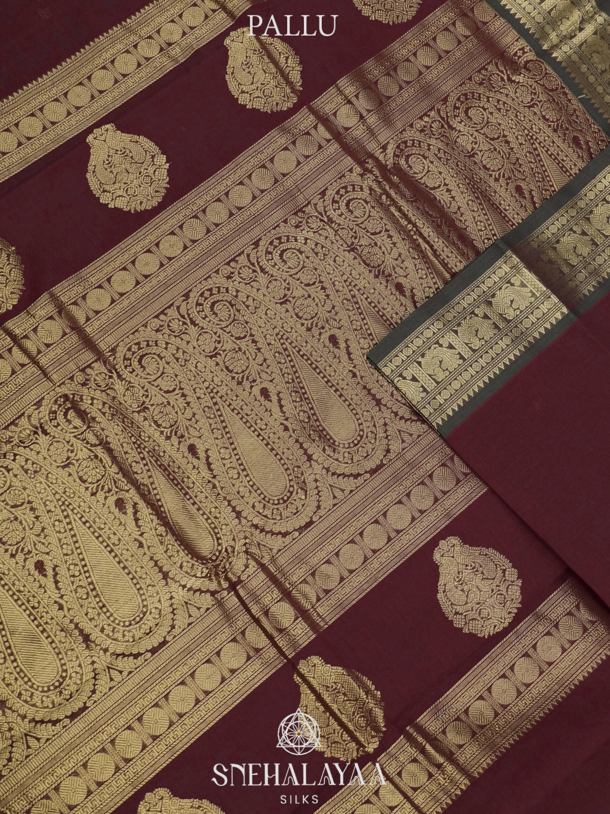 Wine  Kanchi Cotton Saree