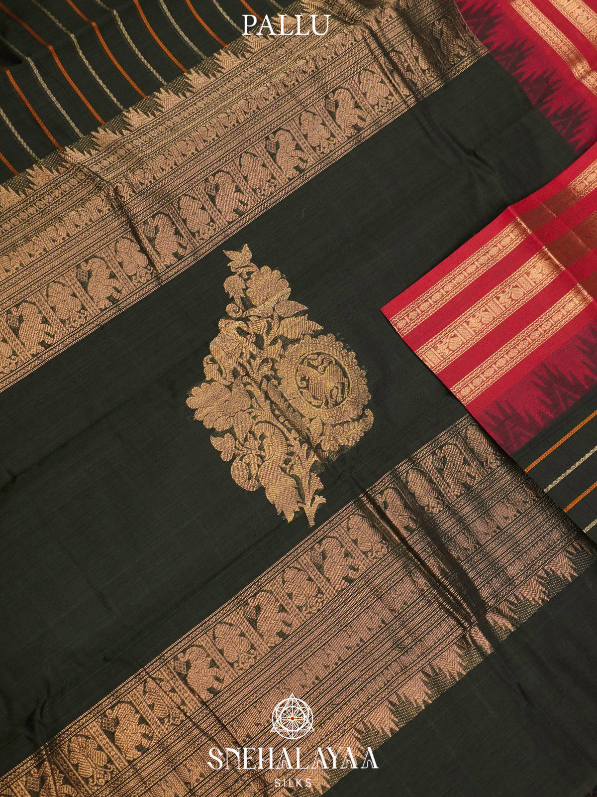 Forest Green  Kanchi Cotton Saree