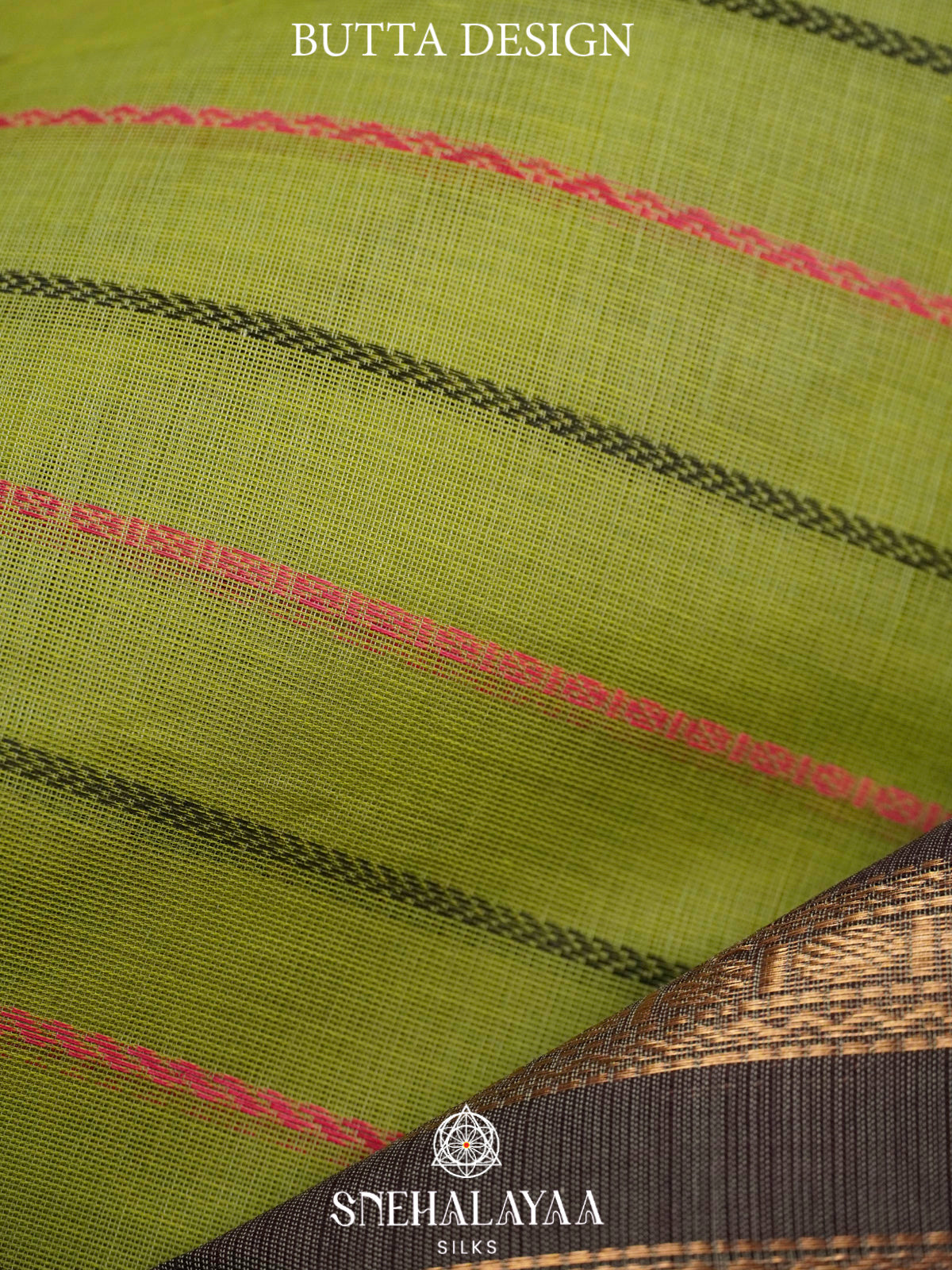 Pista Green  Kanchi Cotton Saree