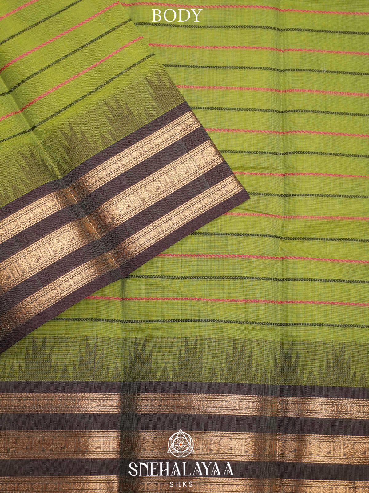 Pista Green  Kanchi Cotton Saree