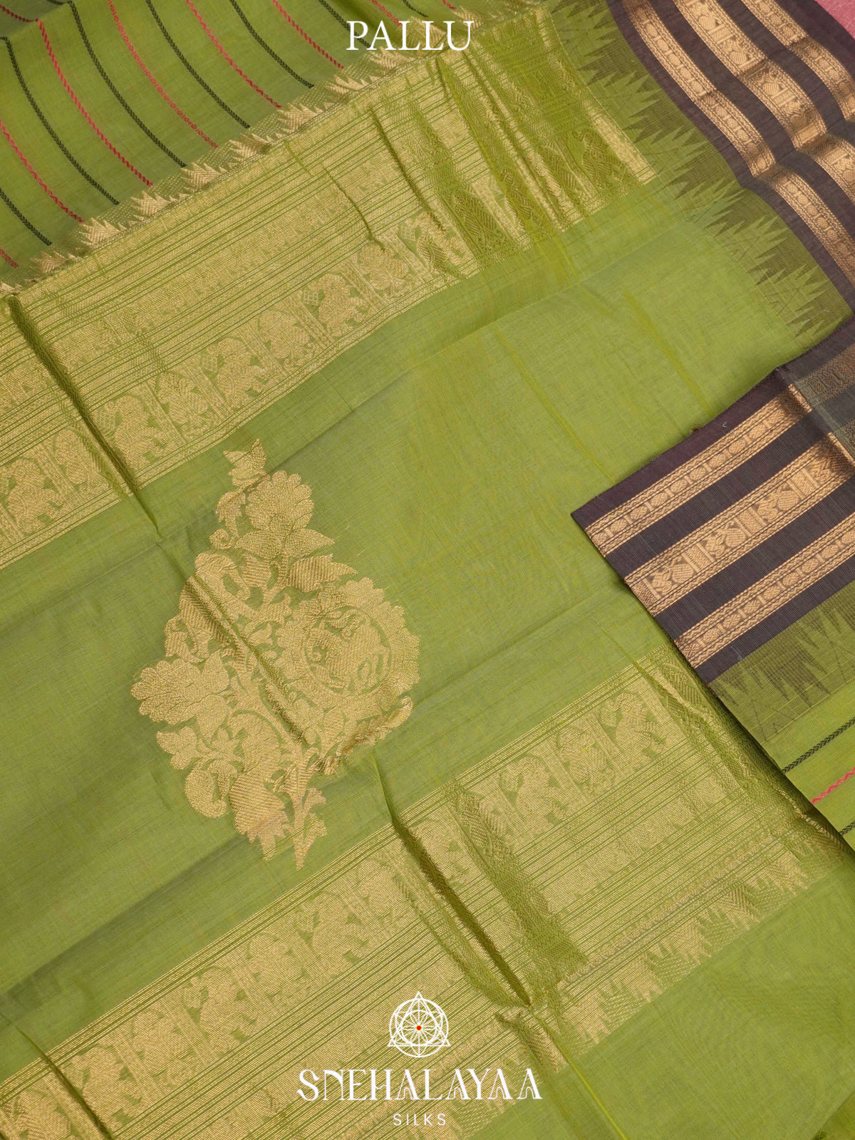 Pista Green  Kanchi Cotton Saree