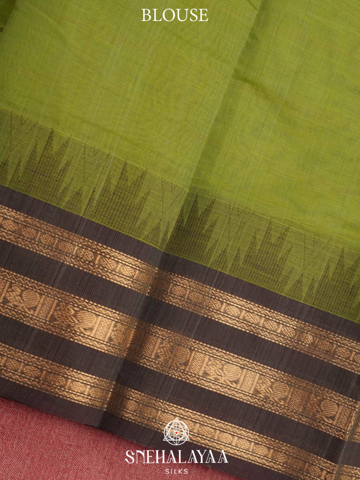 Pista Green  Kanchi Cotton Saree