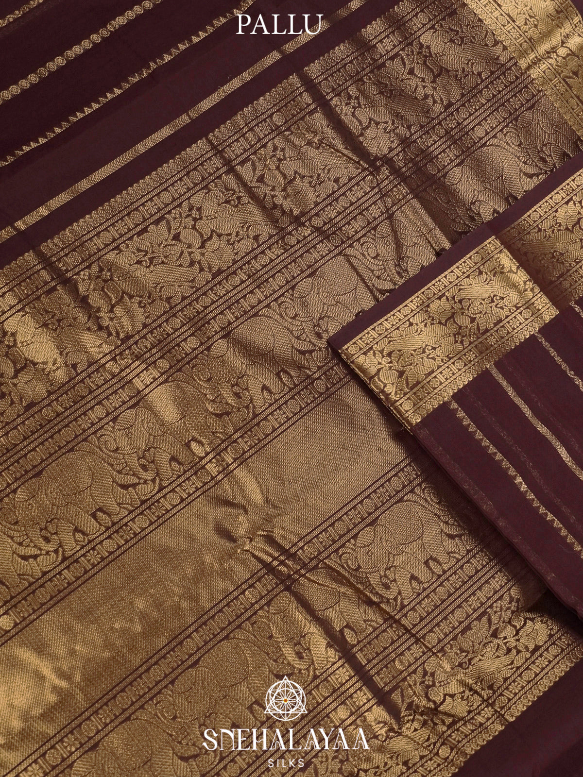 Coffee Brown  Kanchi Cotton Saree