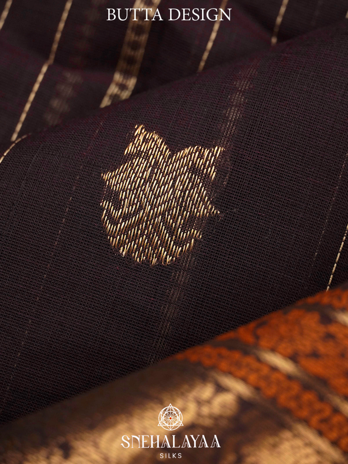 Coffee Brown  Kanchi Cotton Saree