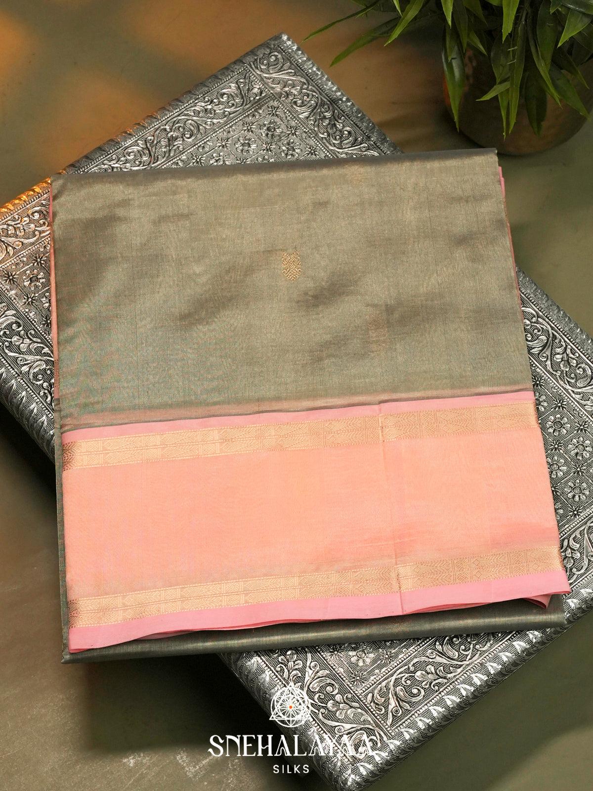 Pale Olive Green Kanchi Silk Cotton Saree with Mango Buttas