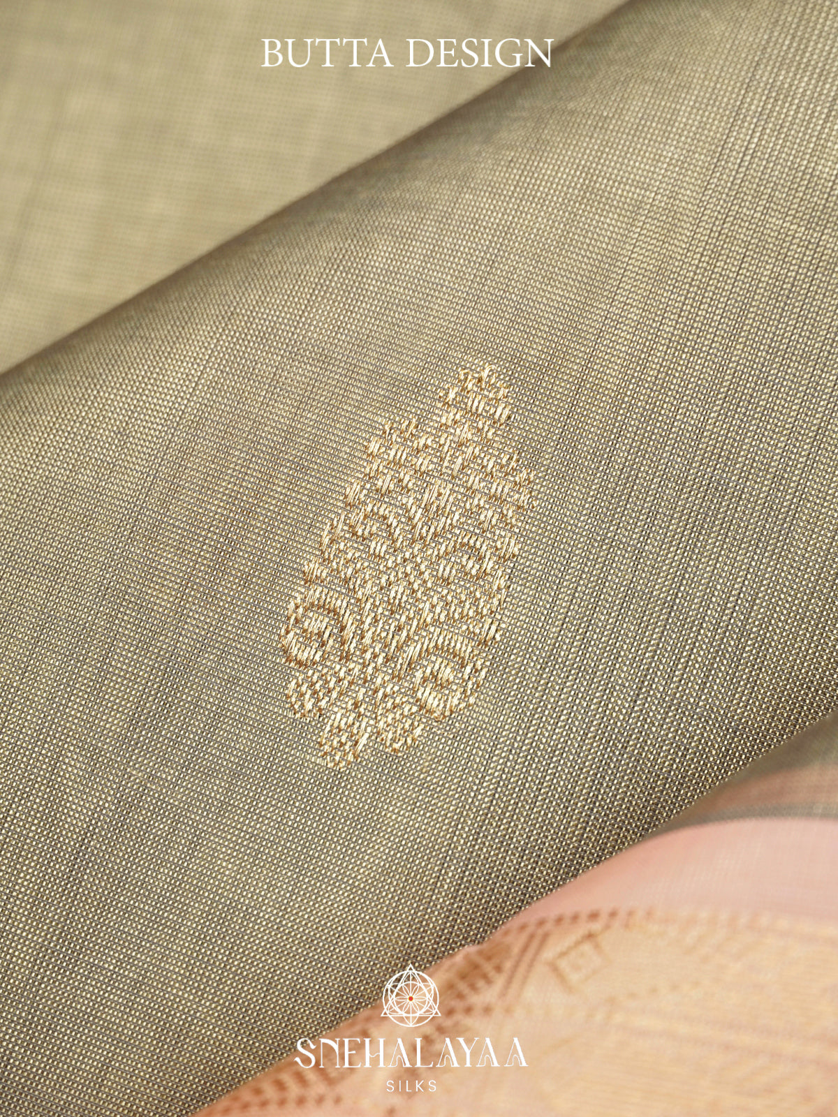 Pale Olive Green Kanchi Silk Cotton Saree with Mango Buttas