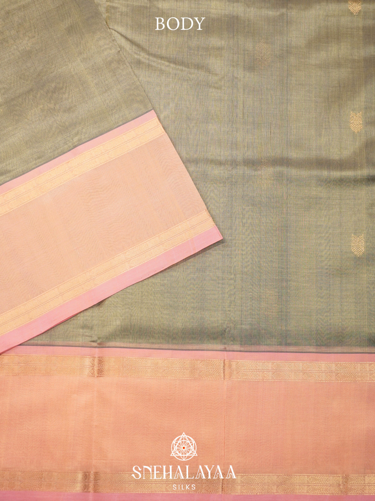 Pale Olive Green Kanchi Silk Cotton Saree with Mango Buttas