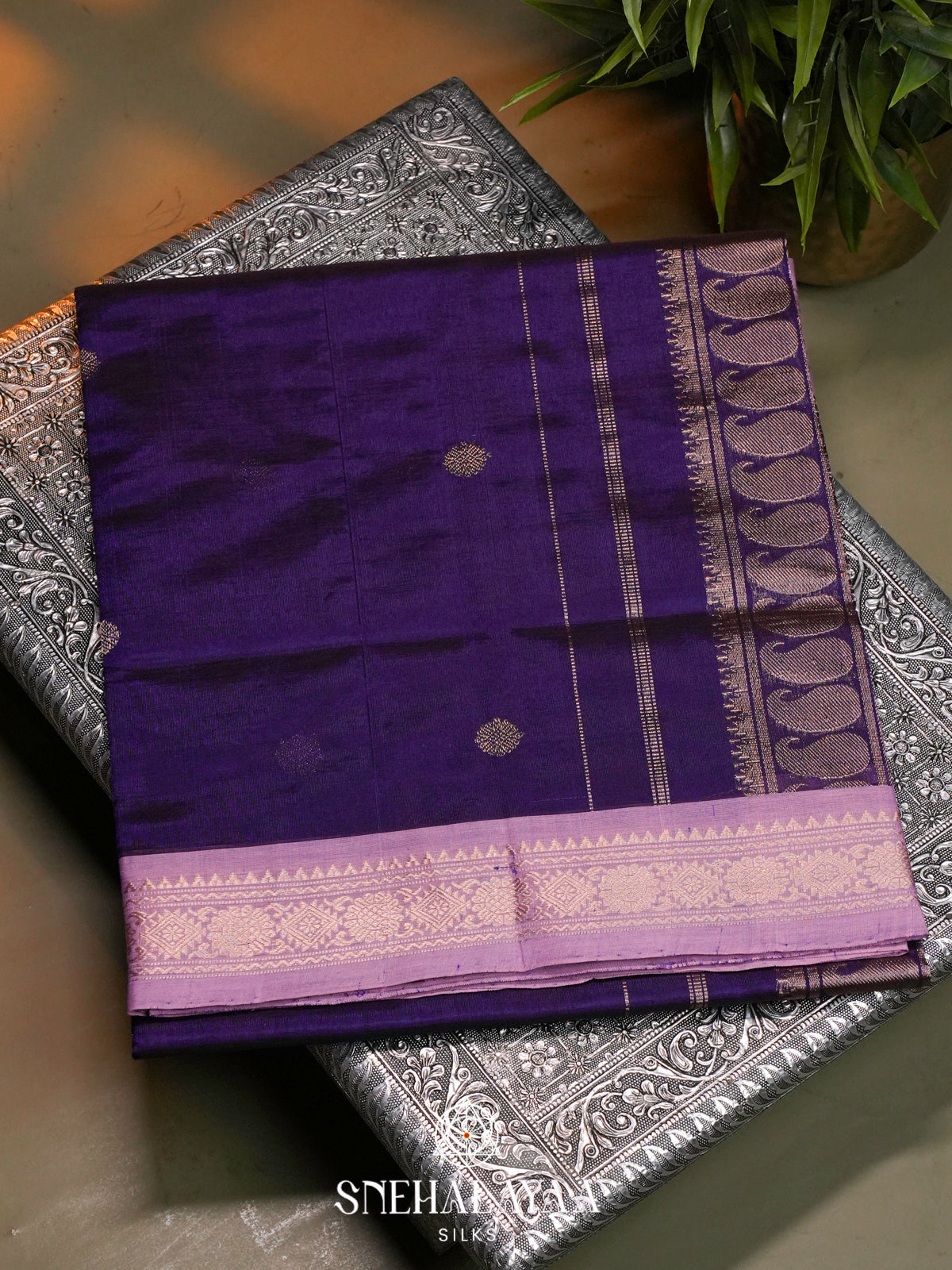Royal Purple Kanchi Silk Cotton Saree with Textured Coin Buttas