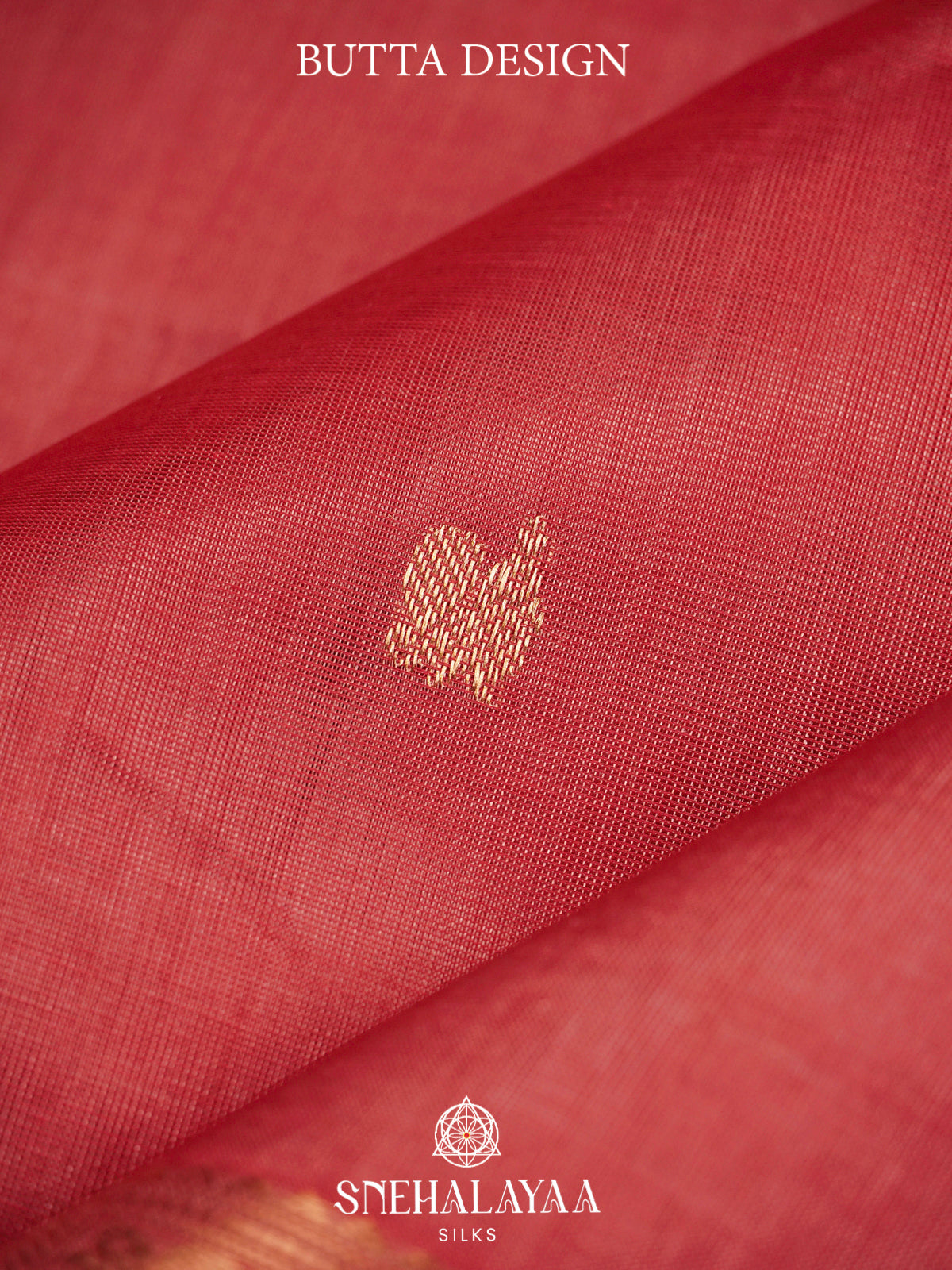 Pink Kanchi Silk Cotton Saree with Contrast Green Border