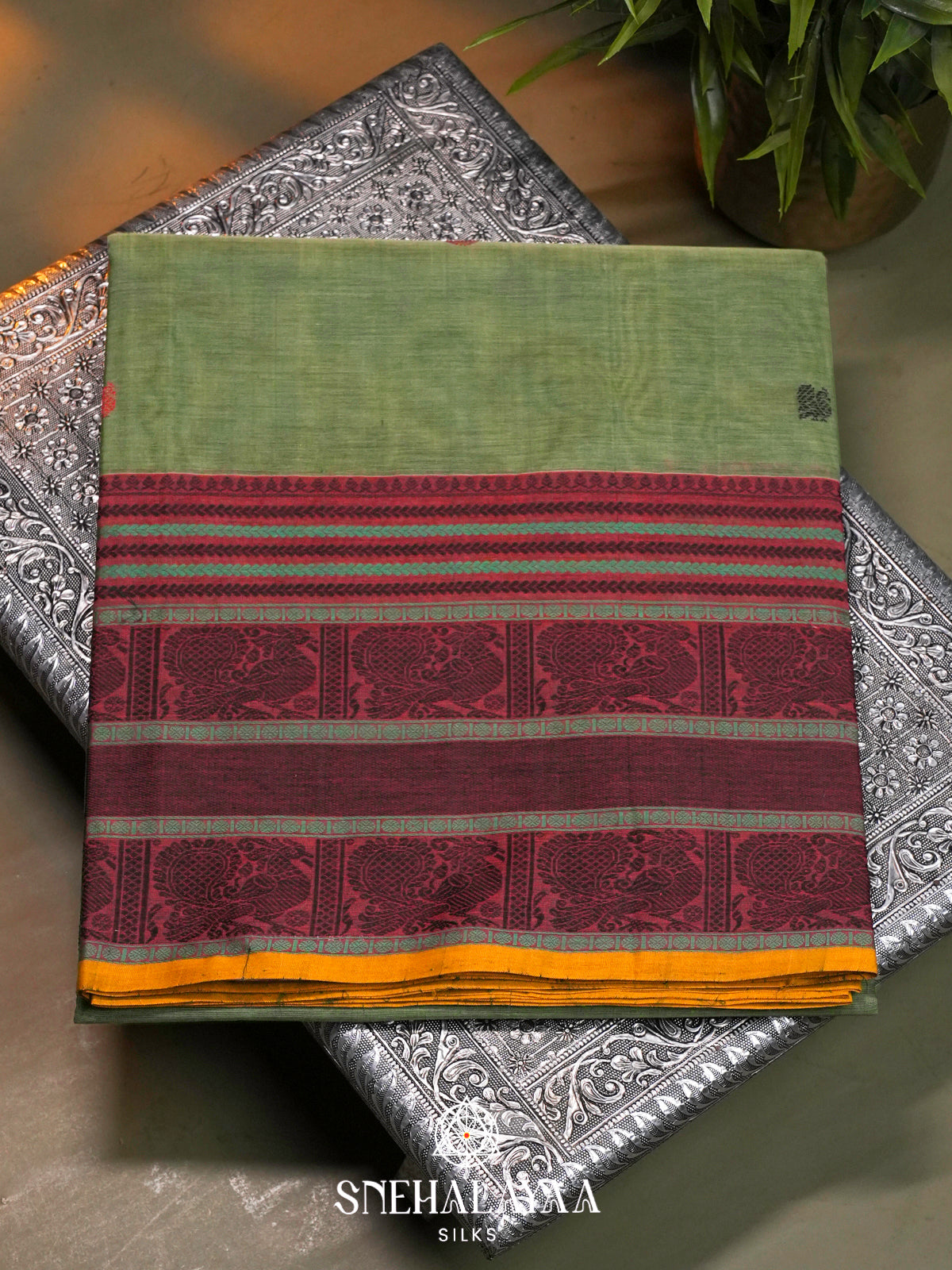 Sage Green Kanchi Silk Cotton Saree with Wine Maroon Peacock Border