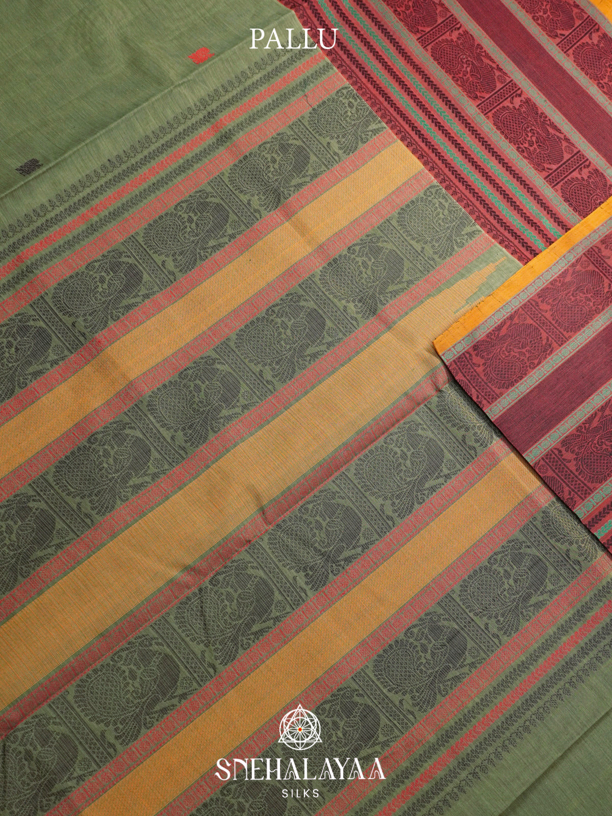 Sage Green Kanchi Silk Cotton Saree with Wine Maroon Peacock Border