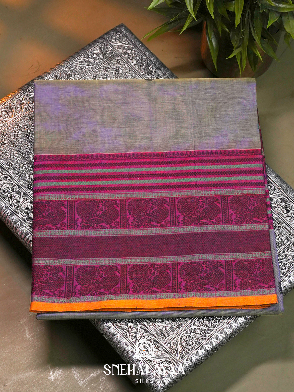 Grey Kanchi Silk Cotton Saree with Magenta Peacock Border