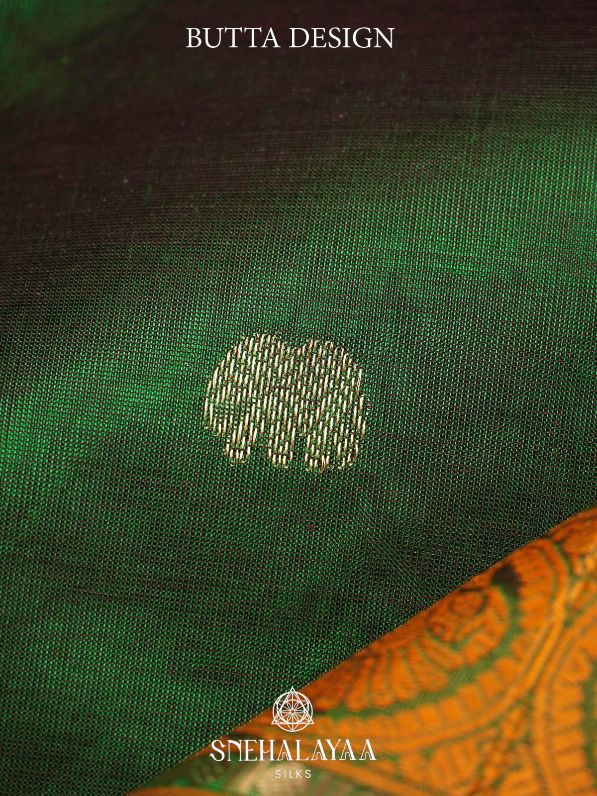 Bottle Green Kanchi Silk Cotton Saree with Mustard Orange Annapakshi Border
