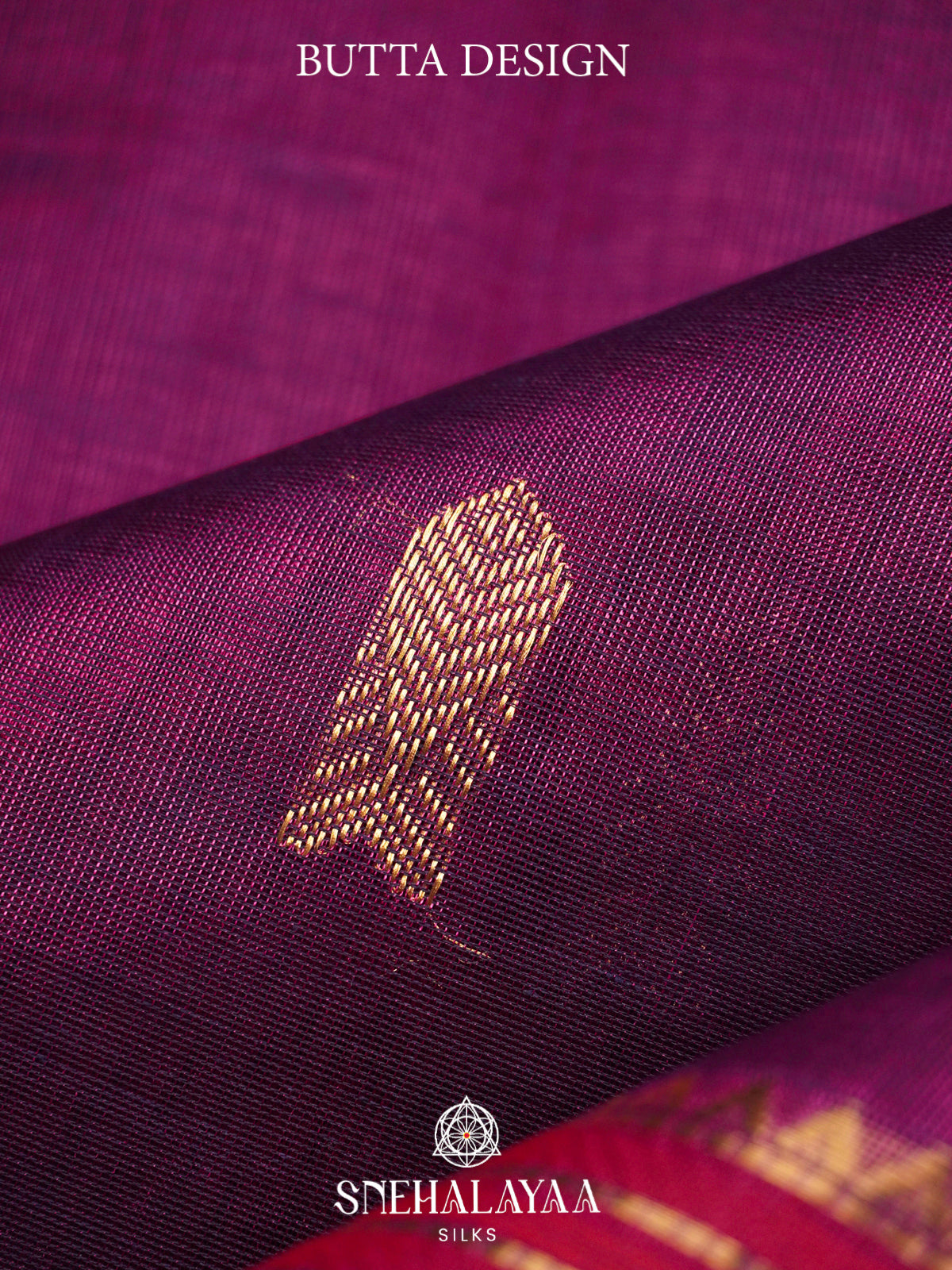 Purple Kanchi Silk Cotton Saree with Antique Gold and Magenta Border