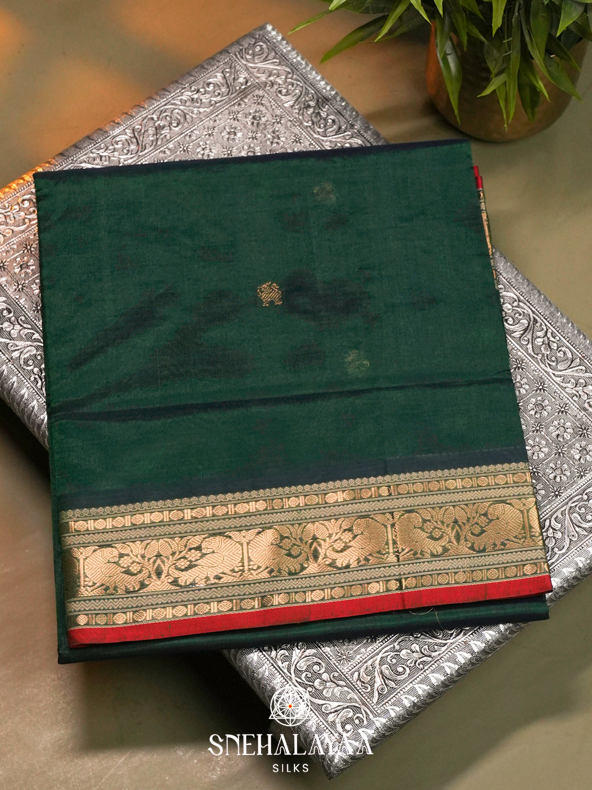 Bottle Green Kanchi Silk Cotton Saree with Antique Gold Peacock Border and Red Accent