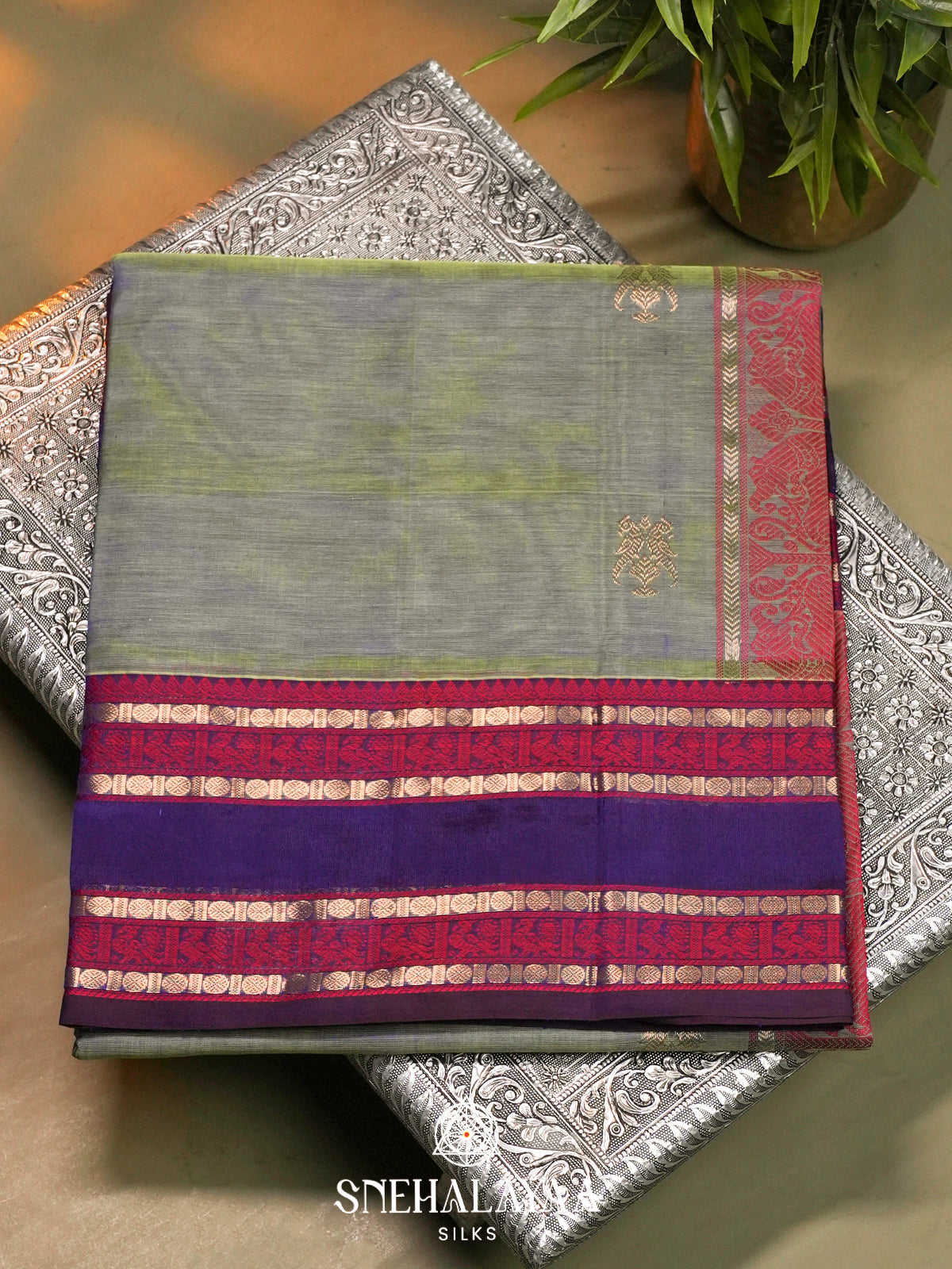Sage Green Kanchi Silk Cotton Saree with Violet and Crimson Peacock Border