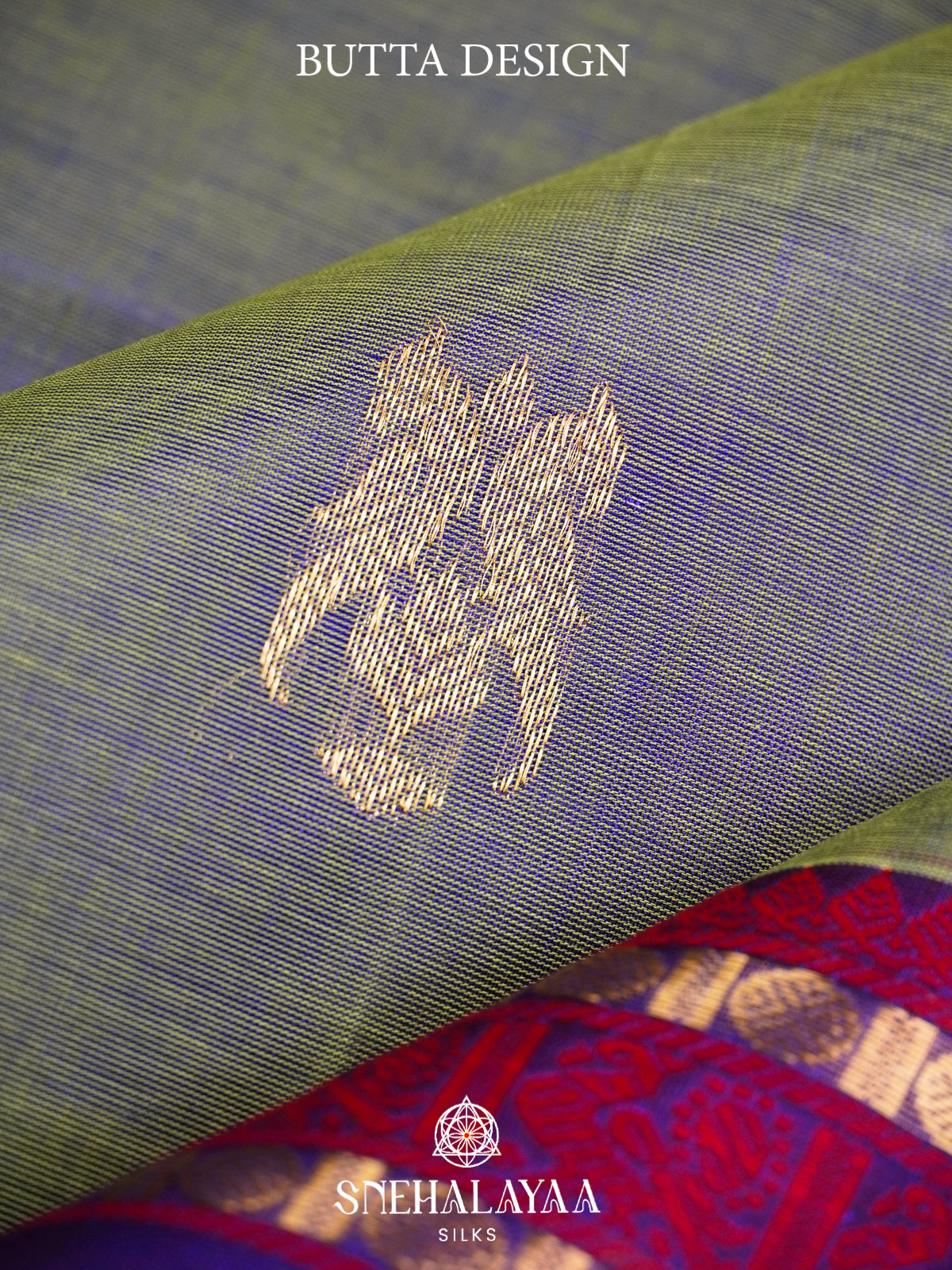 Sage Green Kanchi Silk Cotton Saree with Violet and Crimson Peacock Border