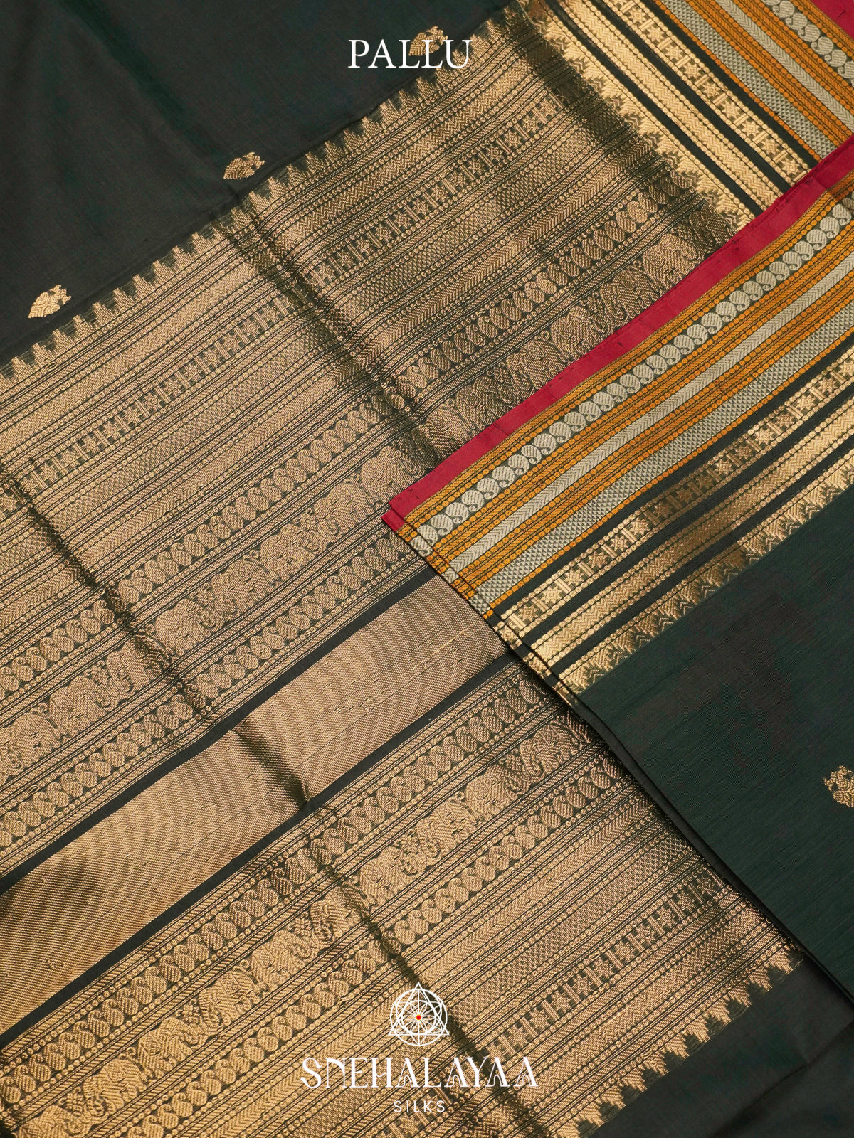 Bottle Green Kanchi Silk Cotton Saree with Multicolored Contrast Border and Gold Leaf Buttas