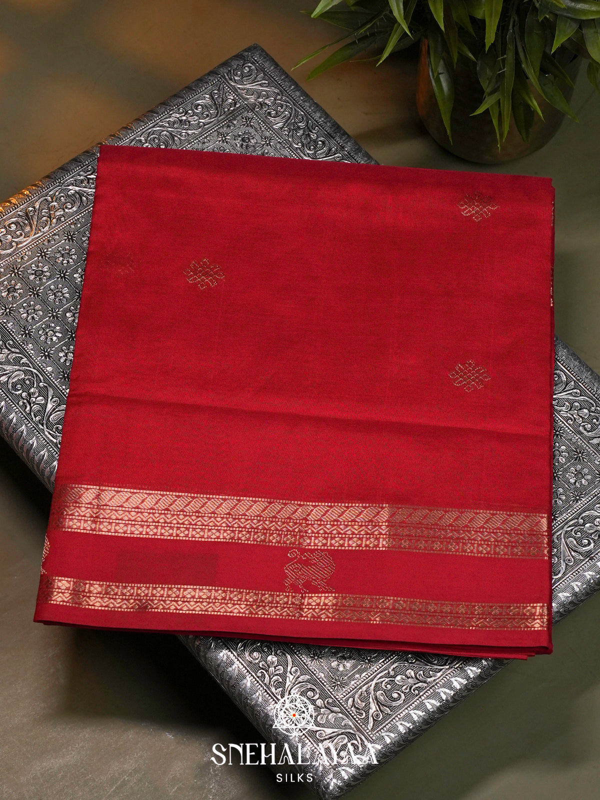 Chili Red Kanchi Silk Cotton Saree with Lion Motif Border and Infinite Knot Gold Buttas