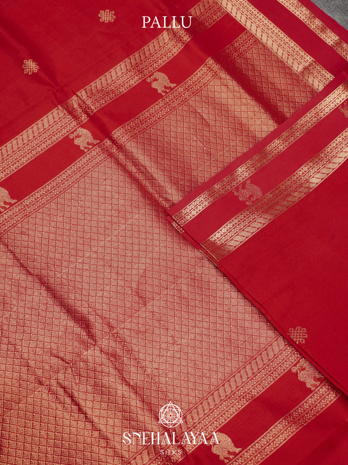 Chili Red Kanchi Silk Cotton Saree with Lion Motif Border and Infinite Knot Gold Buttas