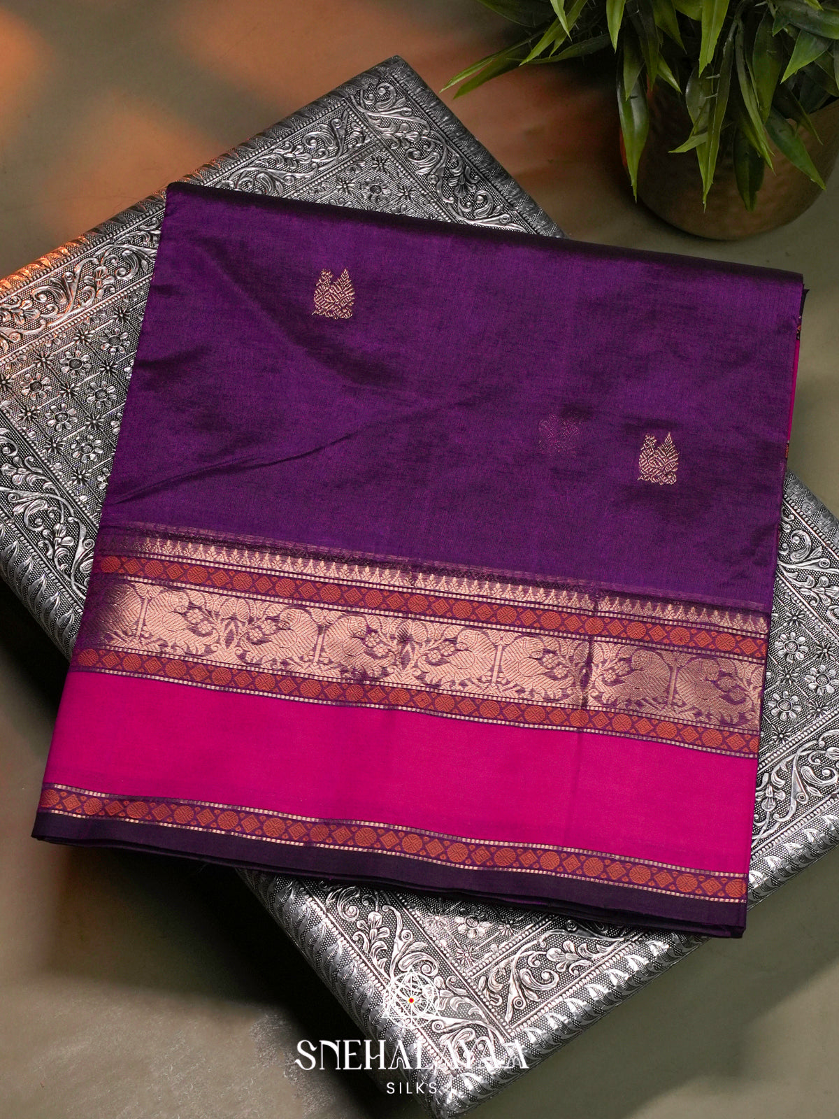 Magenta Purple Kanchi Silk Cotton Saree with Golden-Bronze Elephant-Peacock Border and Bright Pink Contrast Band