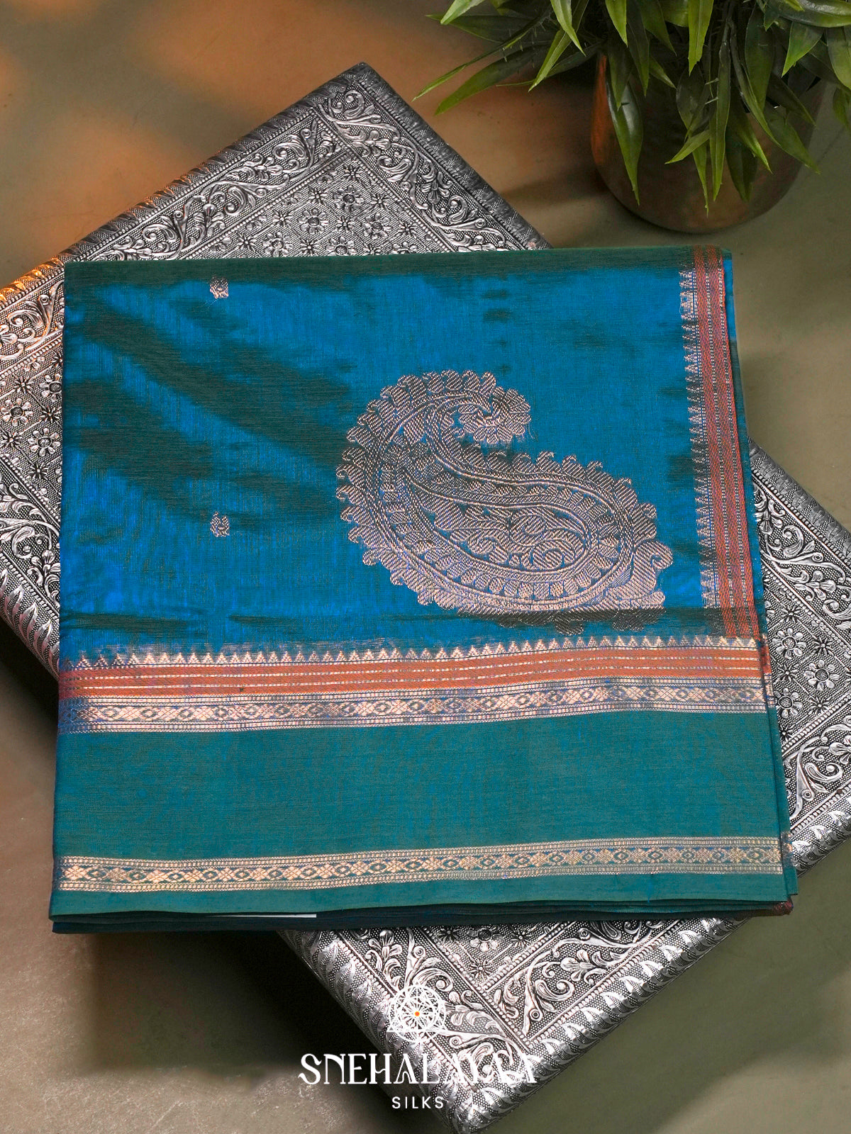 Teal Blue Kanchi Silk Cotton Saree with Large Paisley Motif and Sea Green Contrast Border