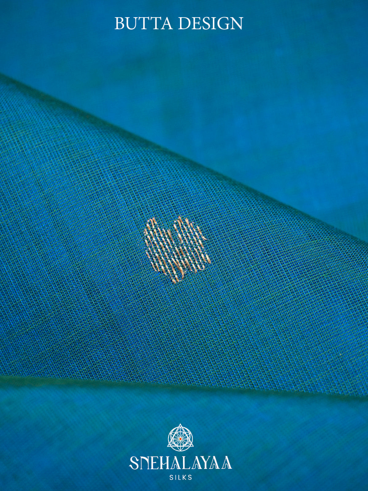 Teal Blue Kanchi Silk Cotton Saree with Large Paisley Motif and Sea Green Contrast Border